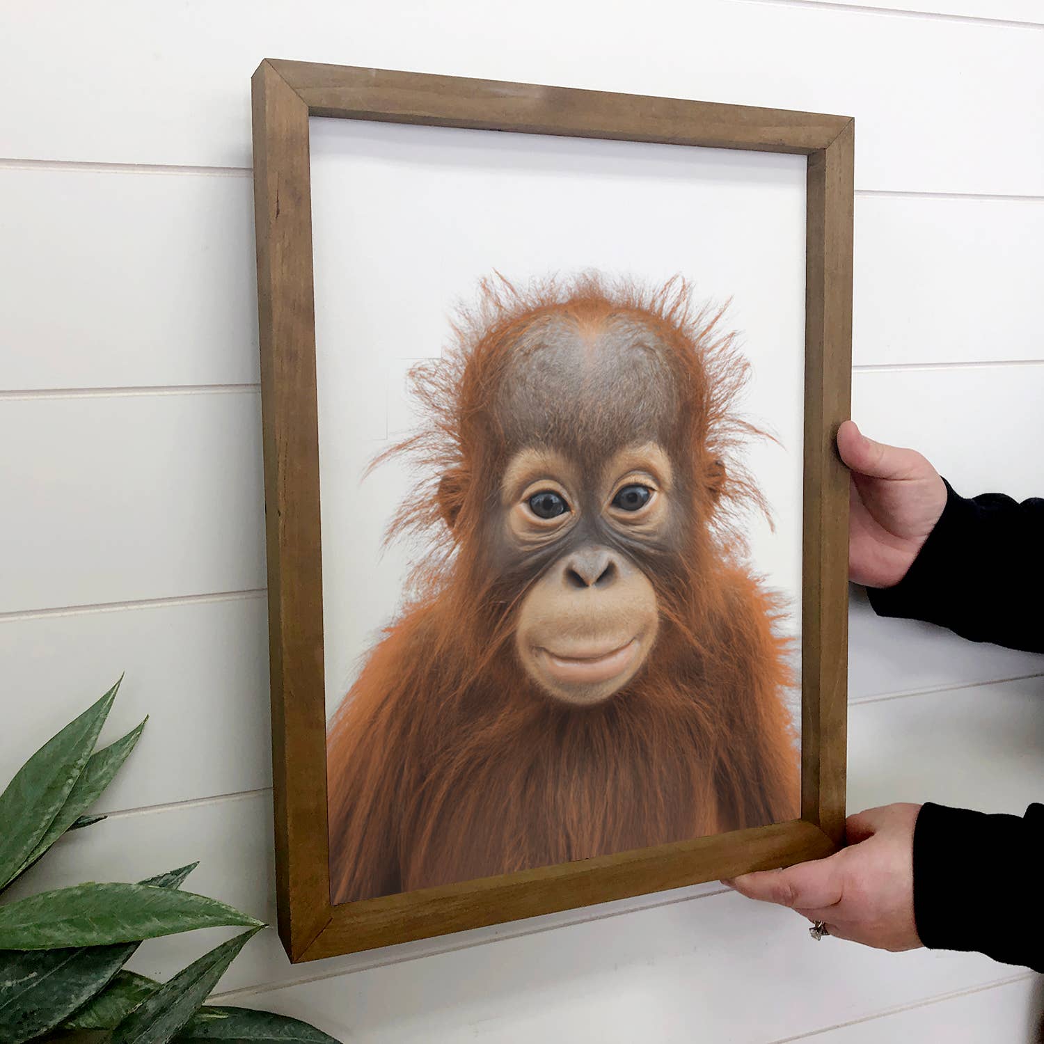 Cute Baby Orangutan Wood Sign Animal Wall Art