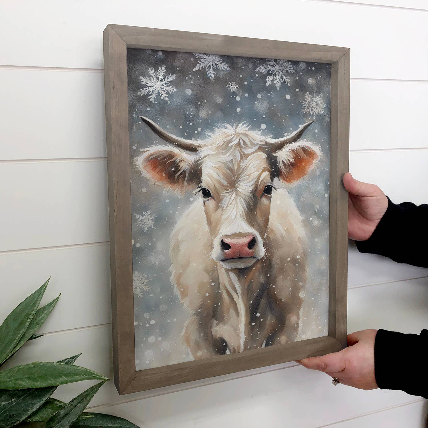 Snowflakes Baby White Cow - Winter Cow Canvas Art - Framed