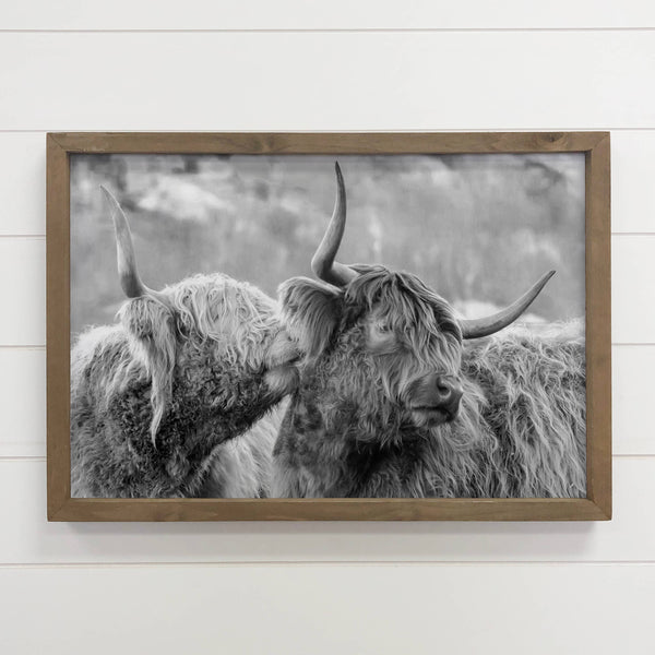 Highland Cows Kissing - Animal Photograph - Wood Framed Art