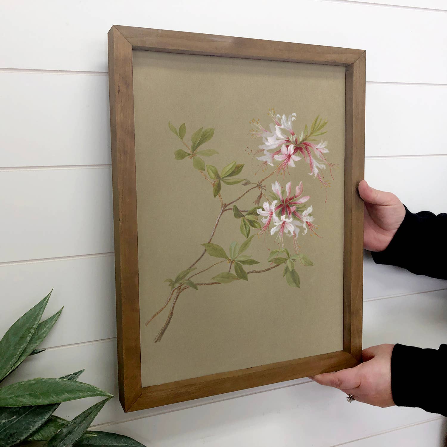 Beige Botanical Azaleas - Flower Canvas Art - Wood Framed
