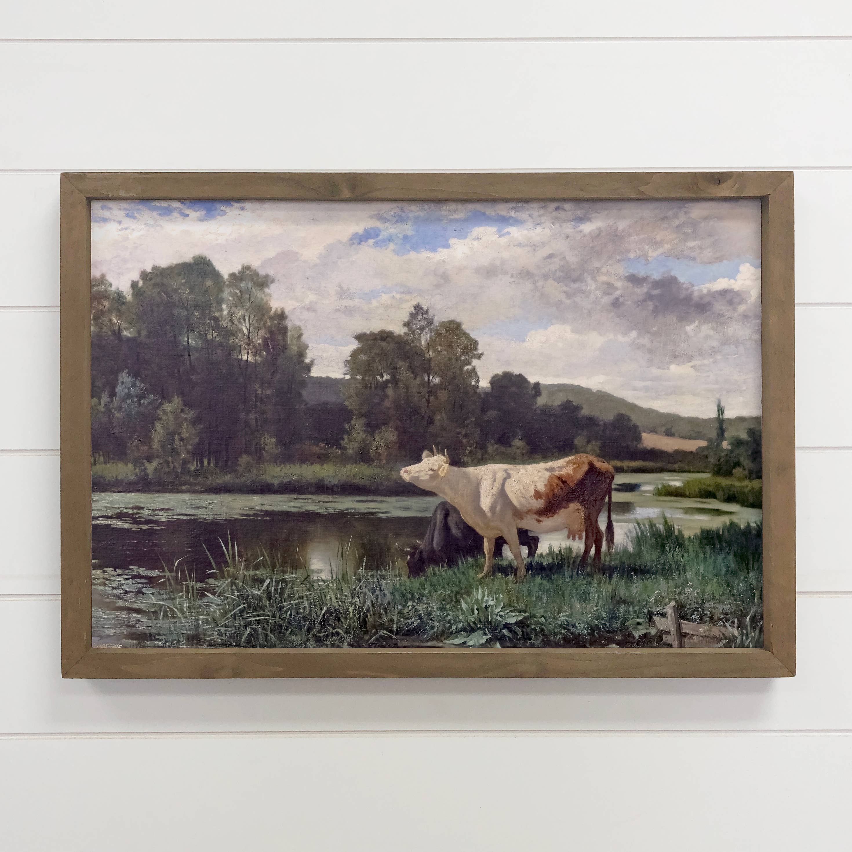 Cows at the Pond - Cow Canvas Art - Wood Framed Wall Art