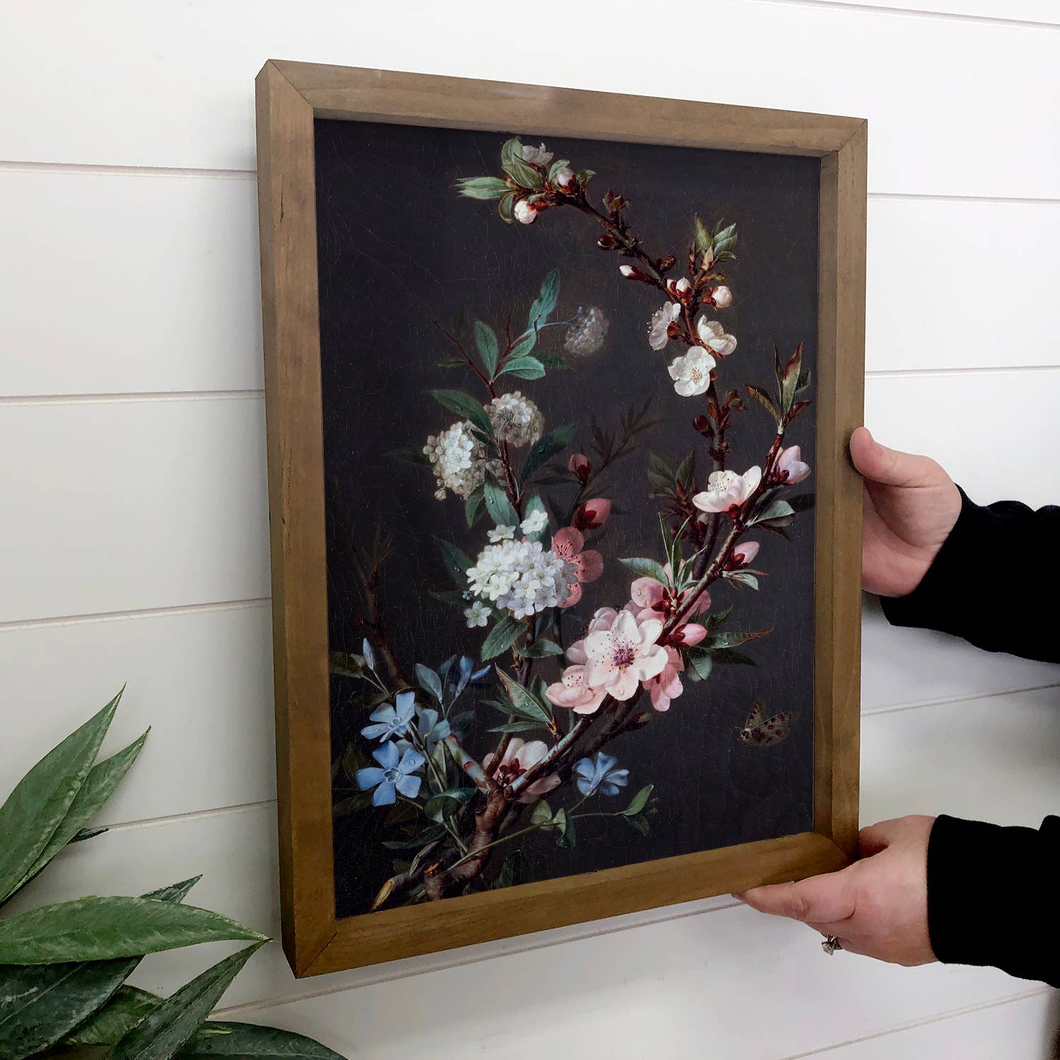 Cherry Blossoms and Periwinkle - Flower Canvas Art - Farmed