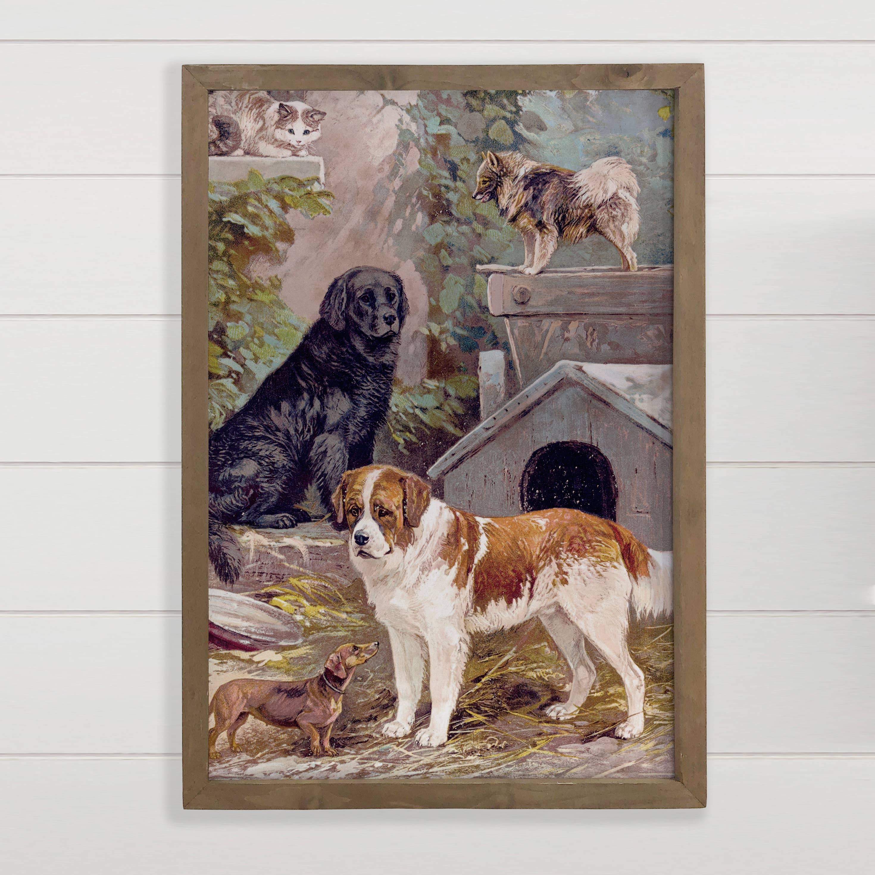 Dogs and Cat Friends - Animal Canvas Art - Wood Framed Art