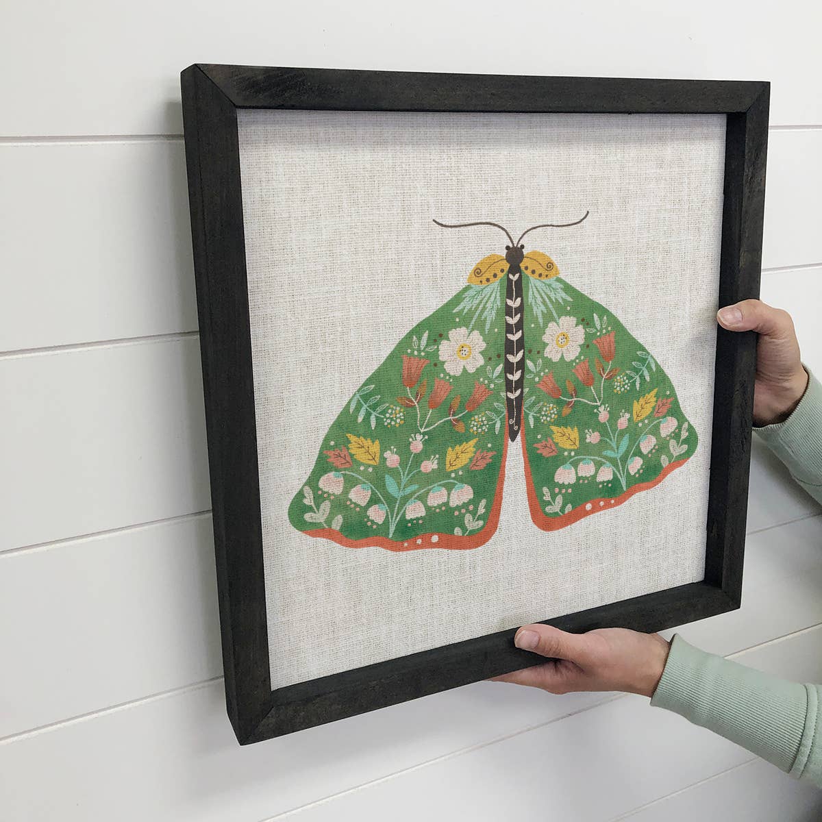 Folksy Moth - Moth Canvas Art - Wood Framed Wall Art