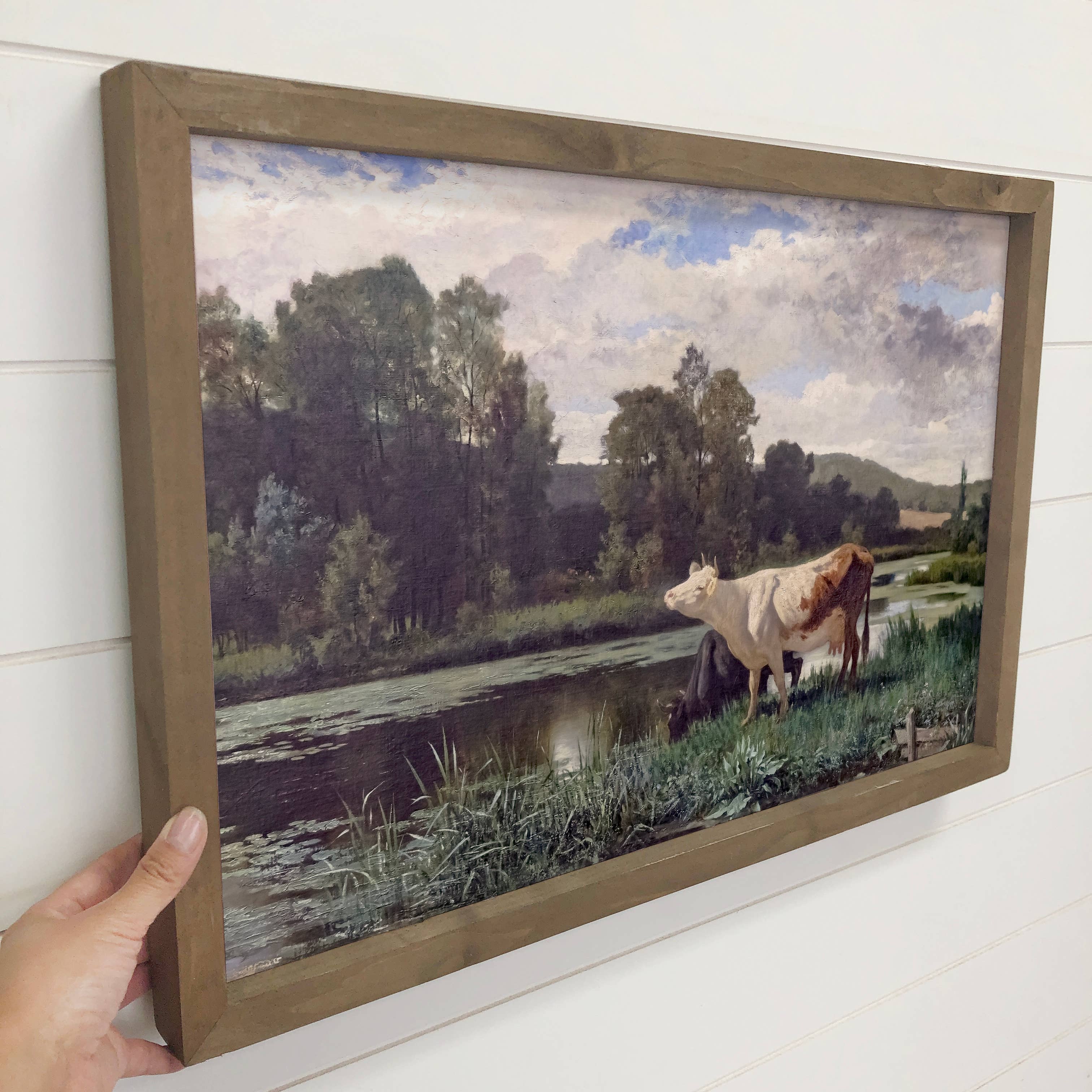 Cows at the Pond - Cow Canvas Art - Wood Framed Wall Art