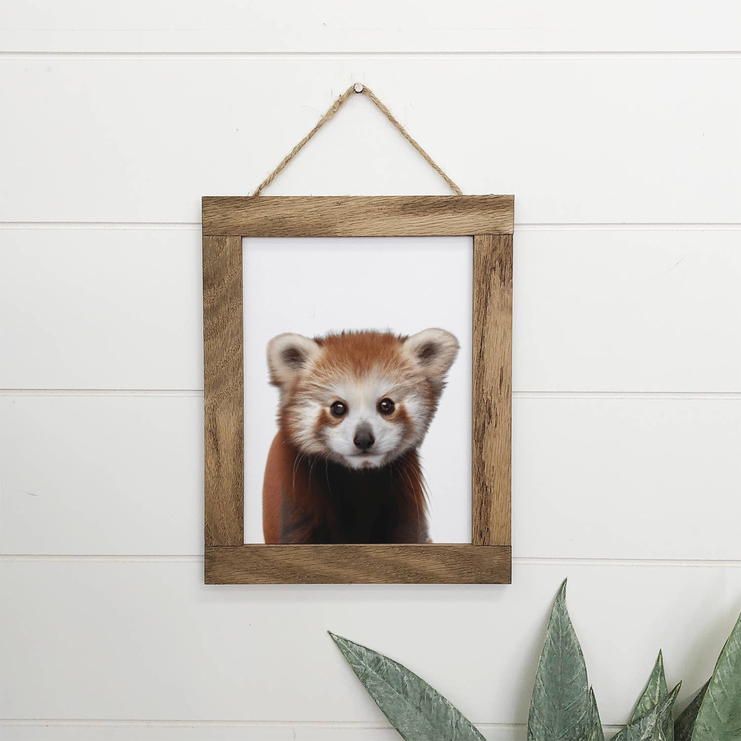 Cute Baby Red Panda Wood Sign Animal Wall Art
