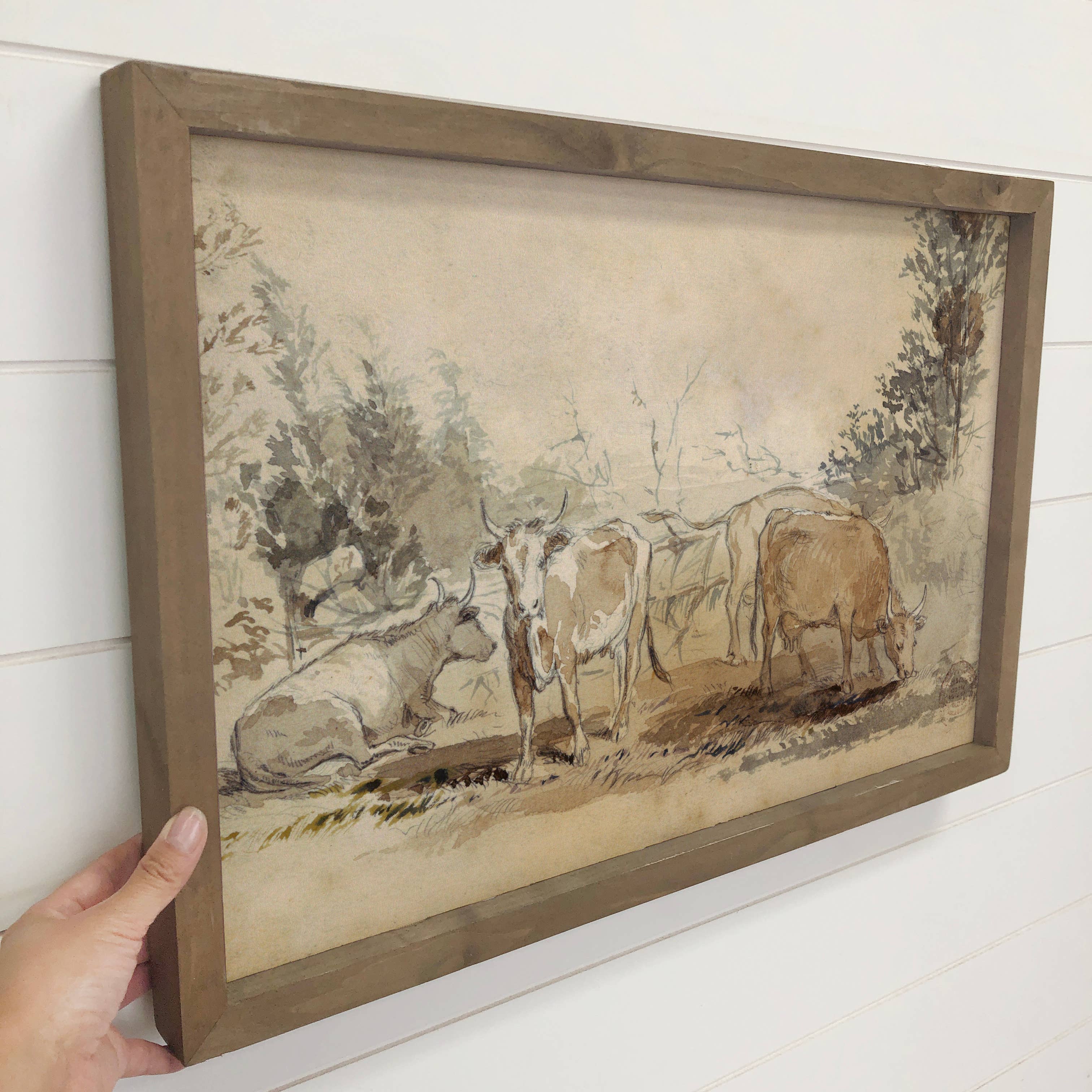 Cows Sketch Antique Watercolor - Cow Canvas Art - Wood Frame