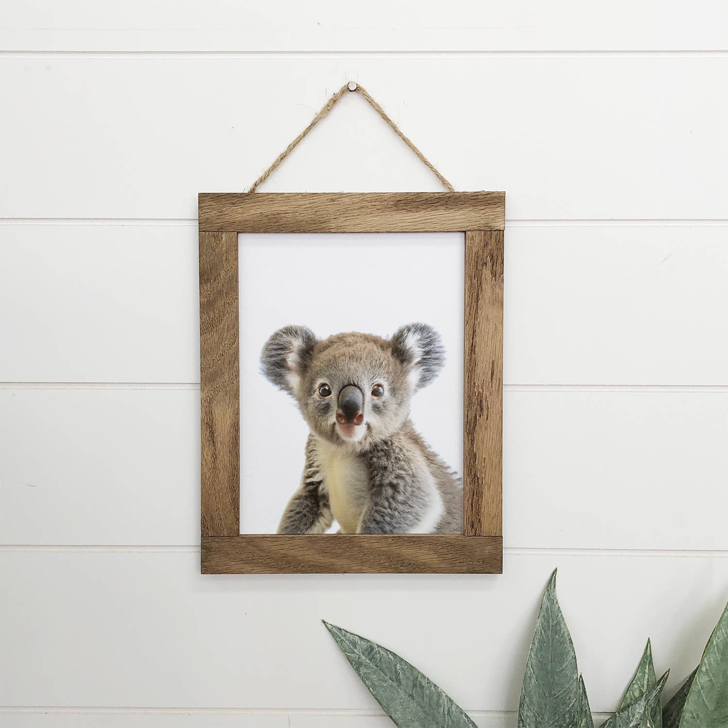 Cute Baby Koala Wood Sign Animal Wall Art