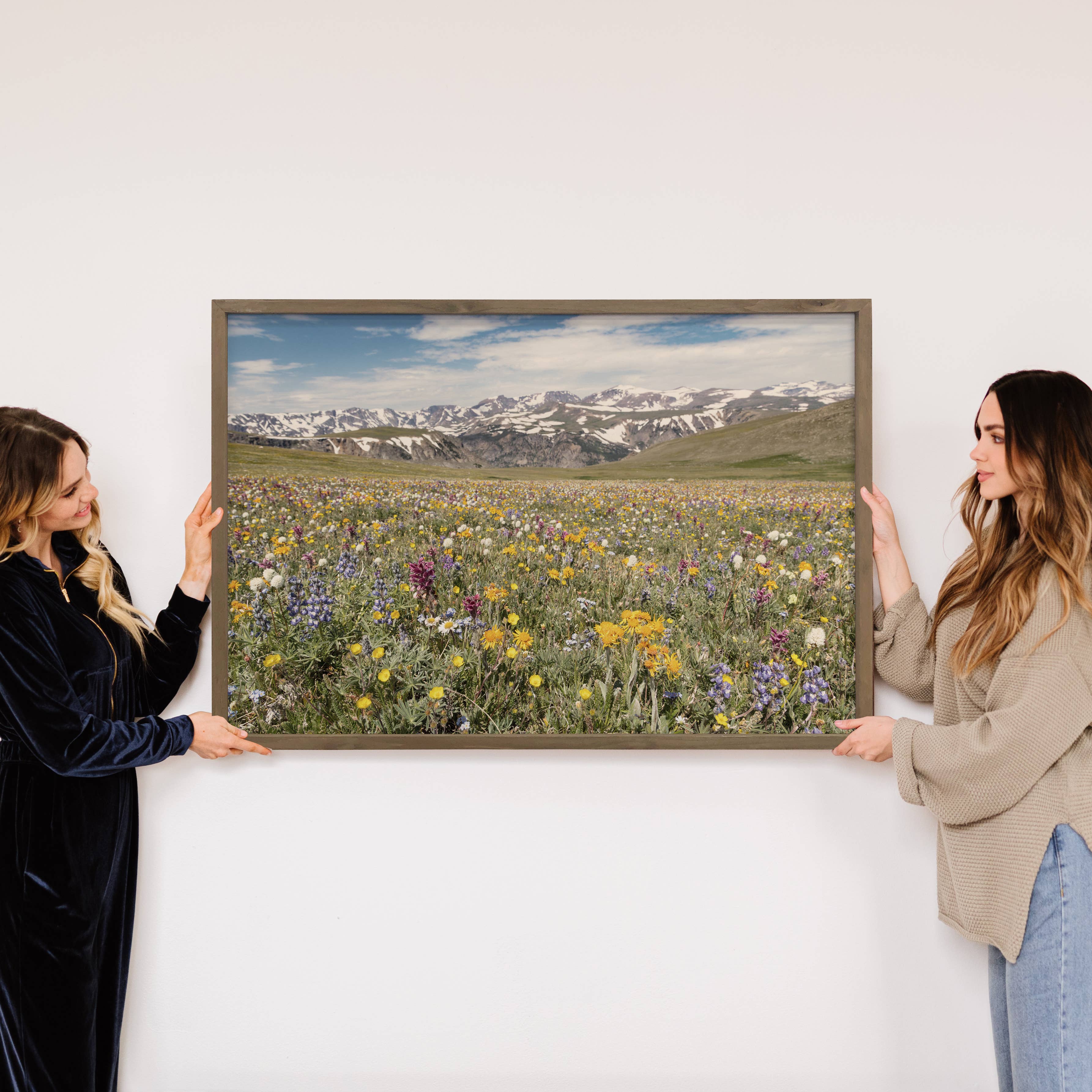 Wildflower Beartooth Pass - Nature Canvas Photograph - Cabin