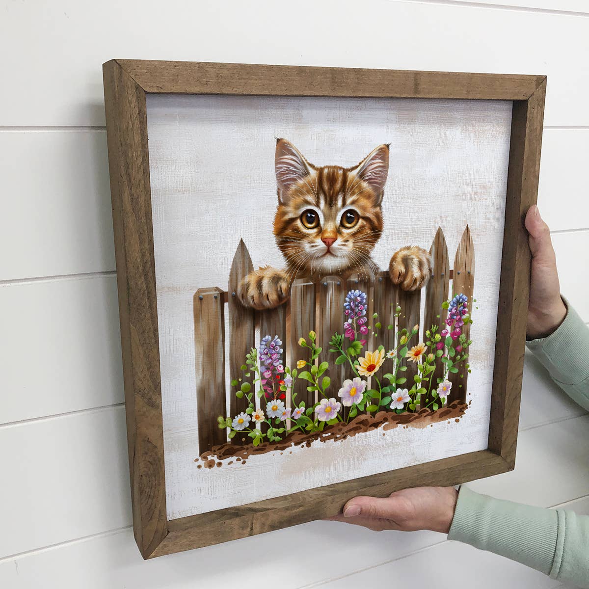 Kitty Over the Fence - Kitty Canvas Art - Wood  Framed Art