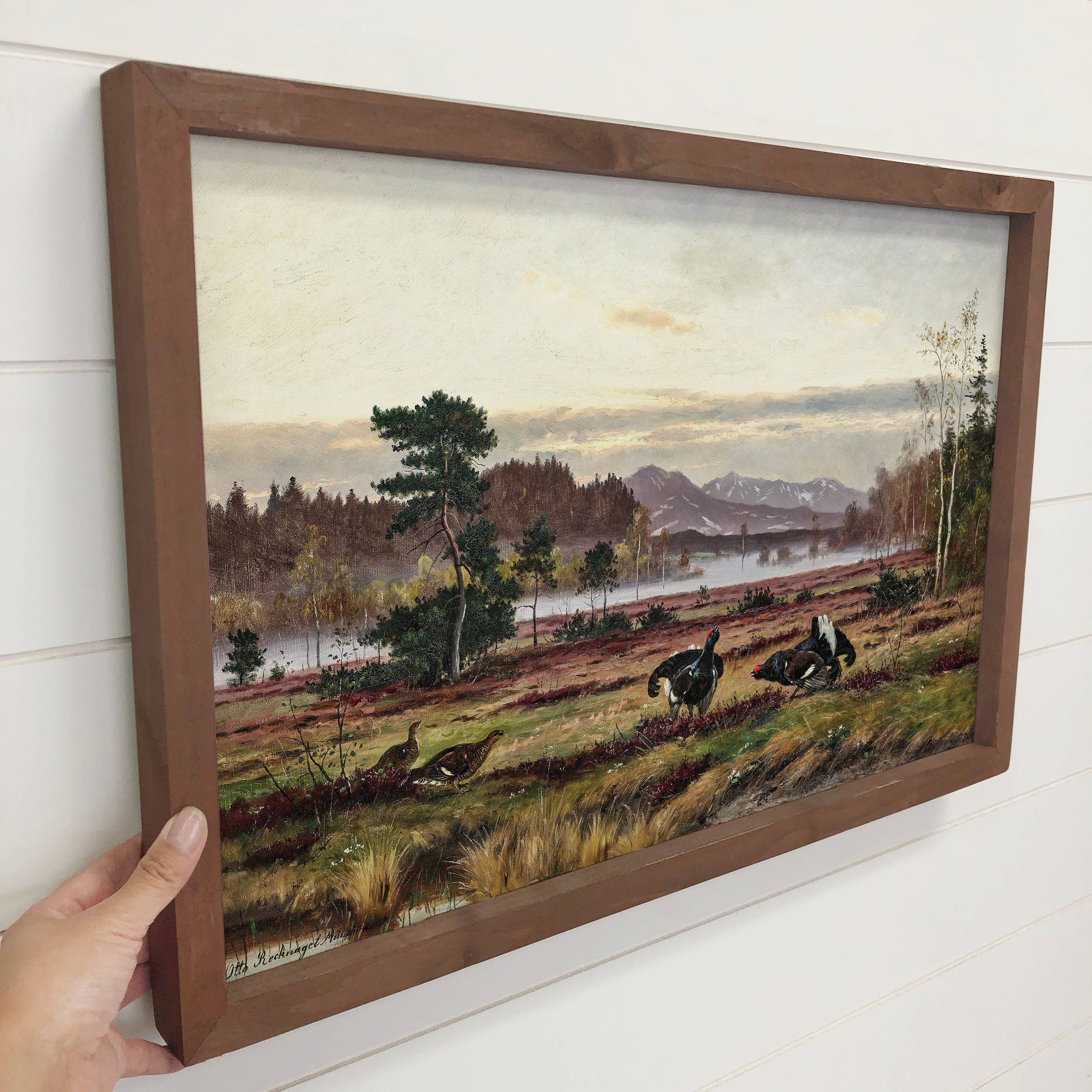 Black Grouse in the Wild - Bird Canvas Art - Wood Framed Art