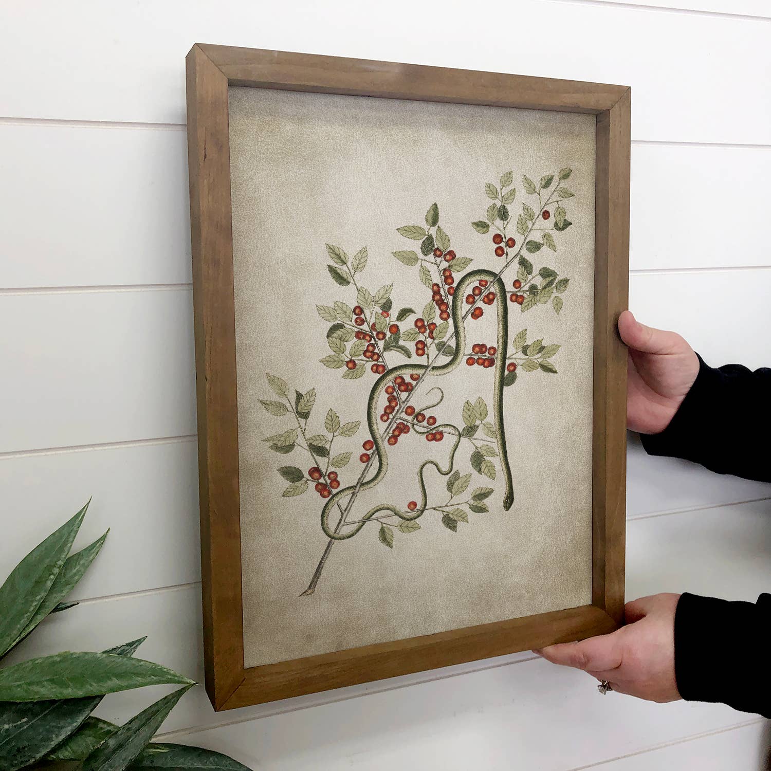 Snake and Poison Berries - Snake Canvas Art - Wood Framed