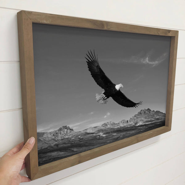 Flying Eagle - Framed Animal Photograph - Mountain Cabin Art
