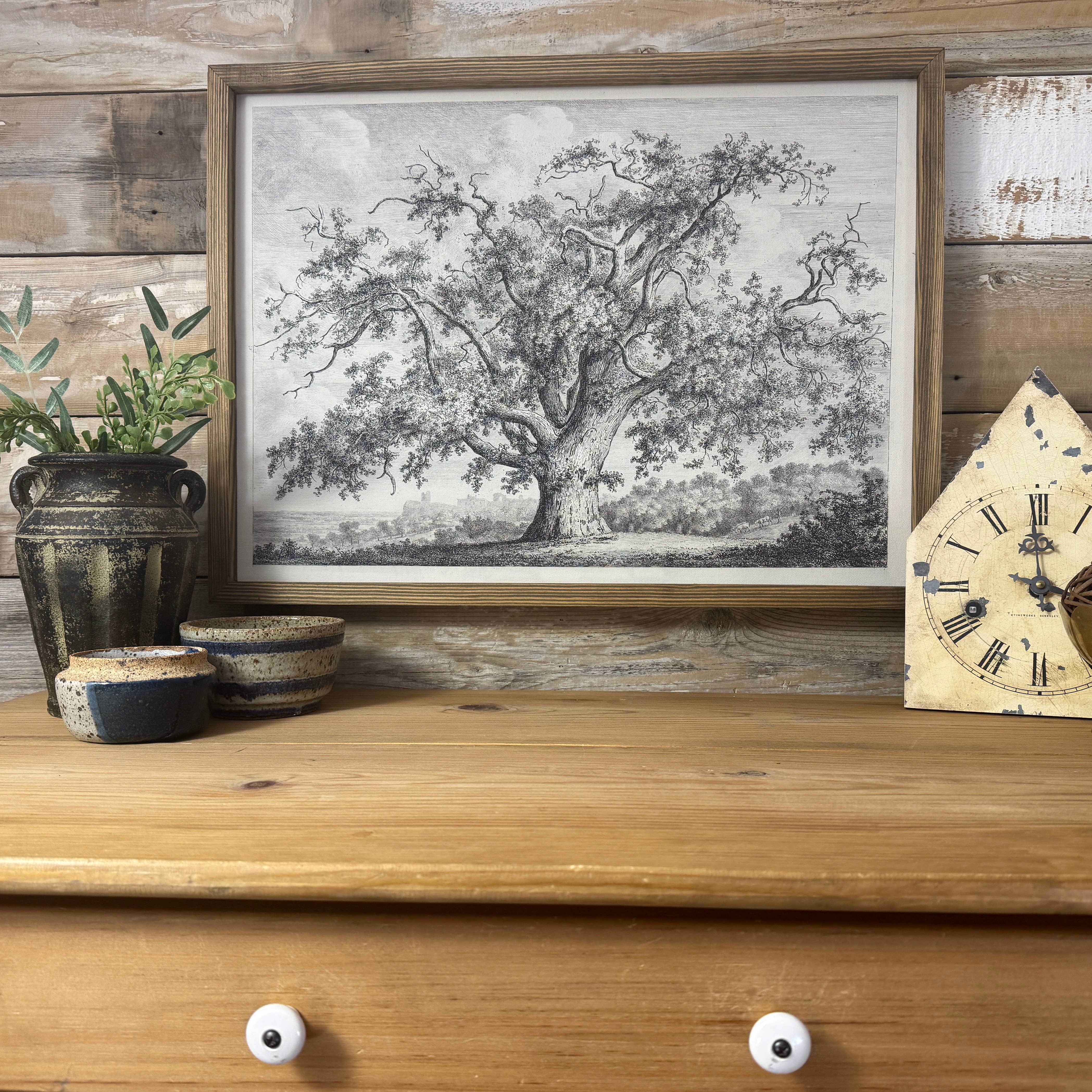 Large Old Elm Tree - Large Tree Sketch Canvas Art - Framed