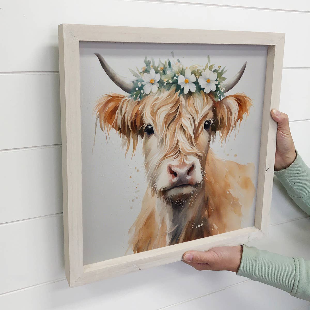 Highland Cow White Flower - Springtime Highland Cow - Framed