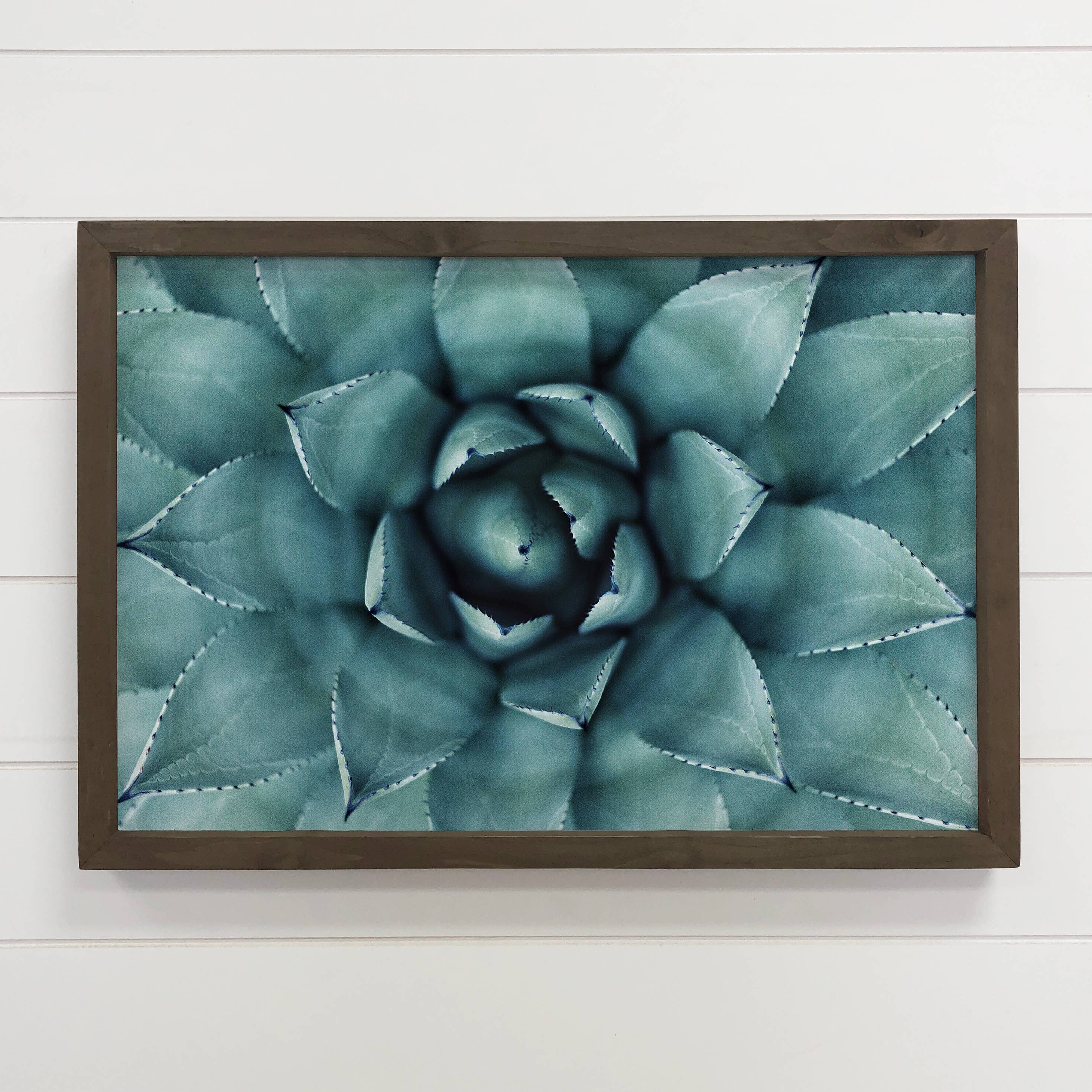 Agave Star - Agave Canvas Art - Wood Framed Flower Artwork