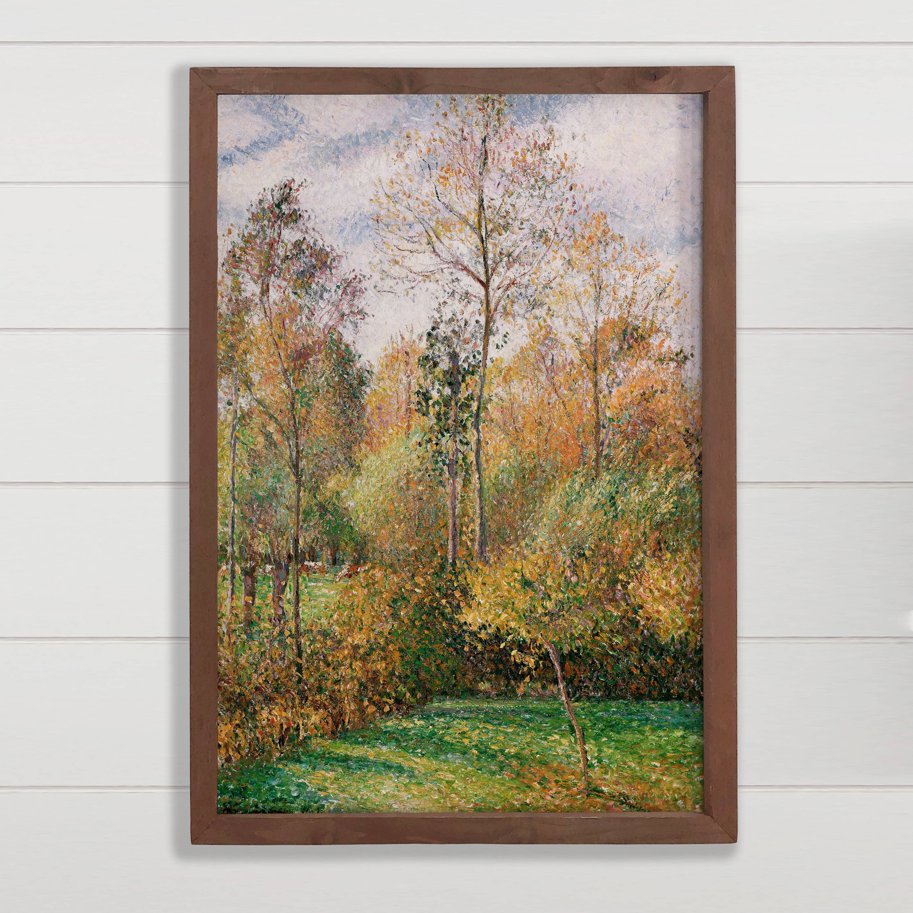 Fall Poplar Trees - Tree Canvas Art - Wood Framed Artwork