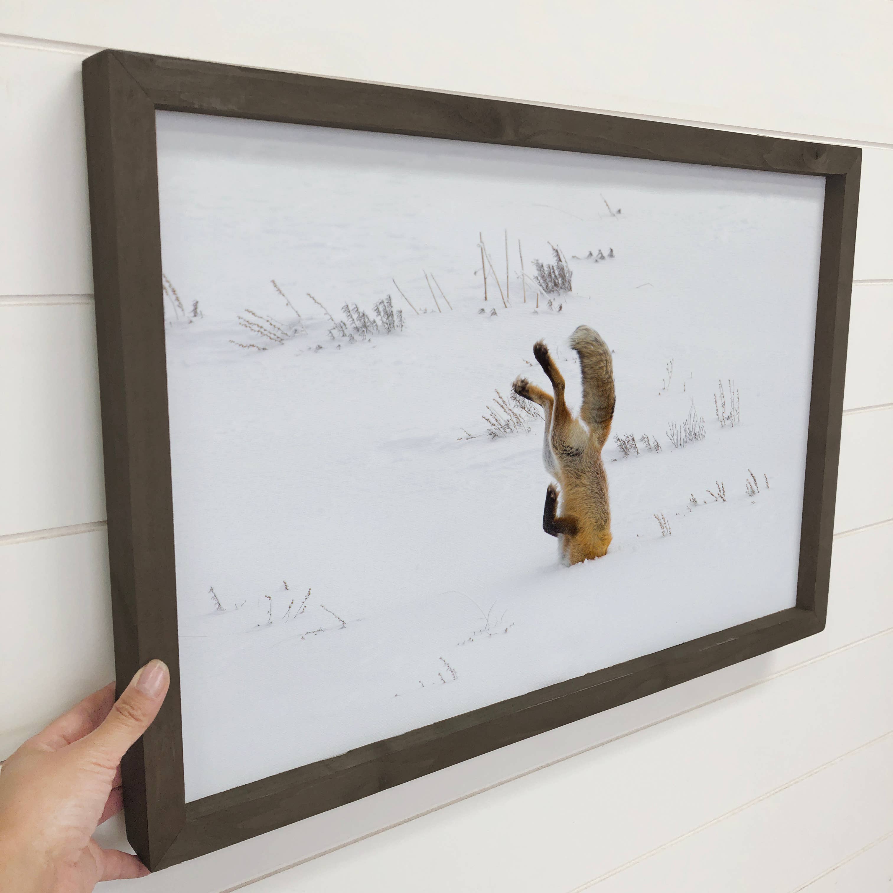 Hunting Fox II - Framed Wildlife Photograph - Cabin Wall Art