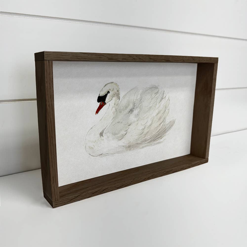 White Swan Painting - Elegant Swan Canvas Art - Wood Framed