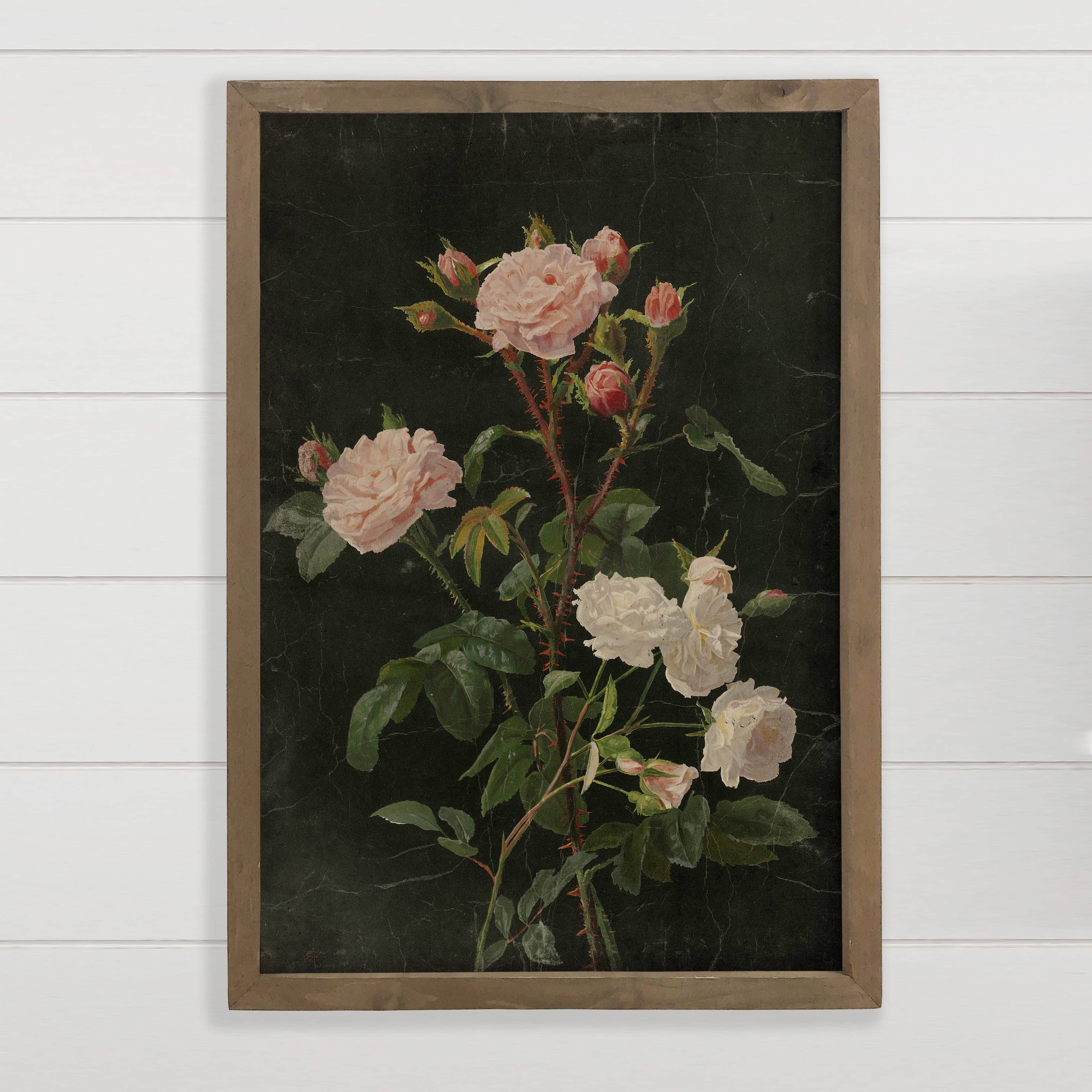 Thorned Roses - Flower Canvas Art - Wood Framed Wall Art