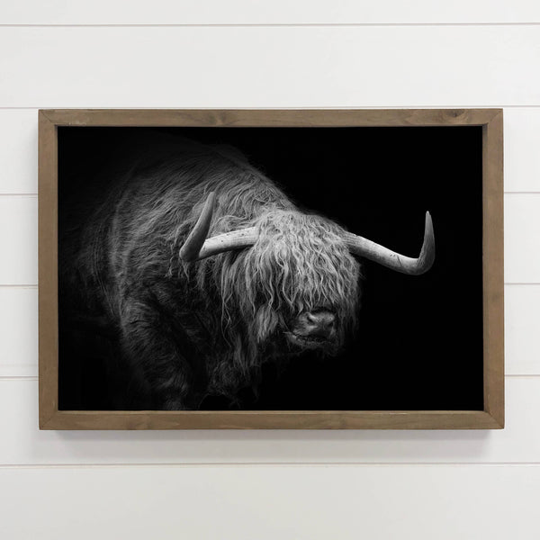 Highland Long Hair Cow - Highland Cow Black and White Photo