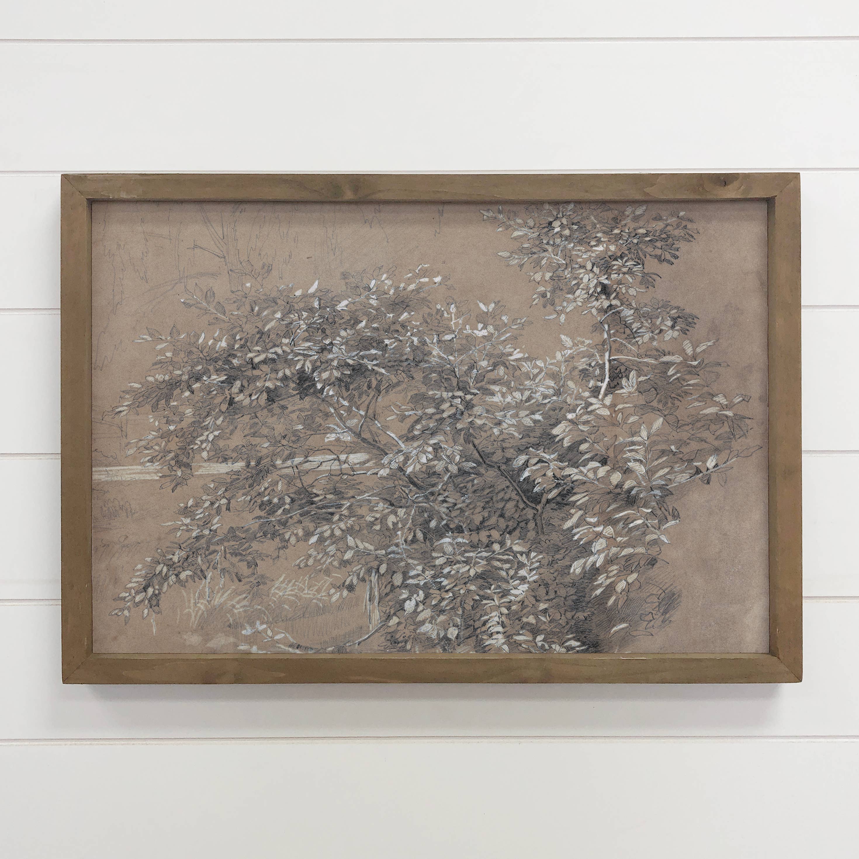 Beige Foliage - Farmhouse Flower Canvas Art - Wood Framed