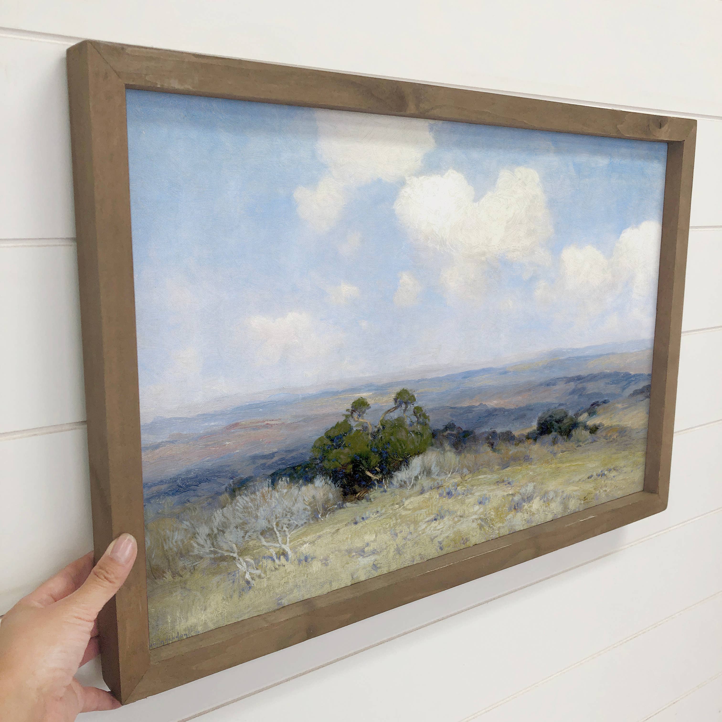 Texas Landscape - Framed Nature Wall Art - Ranch House Decor