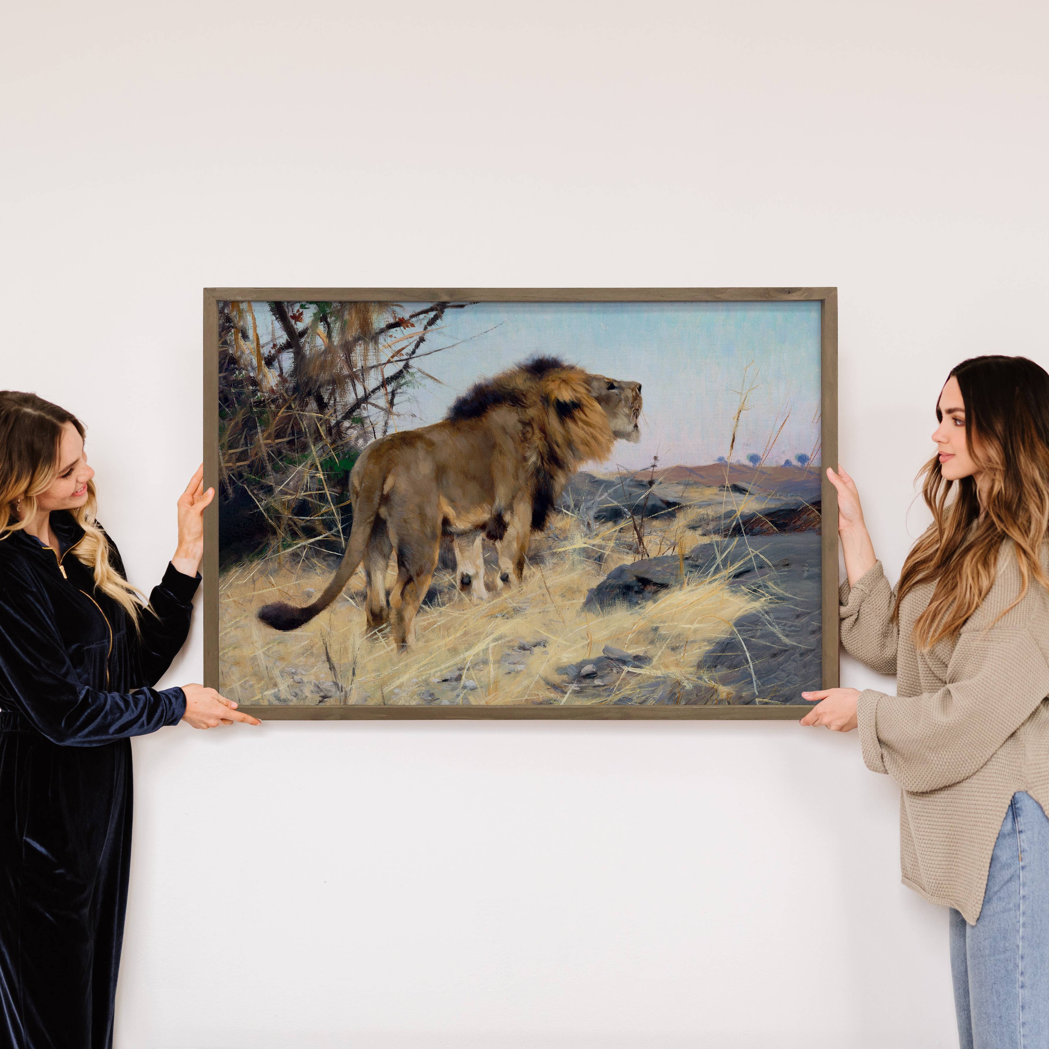 Roaring Lion - Wildlife Canvas Art - Wood Framed Canvas Art