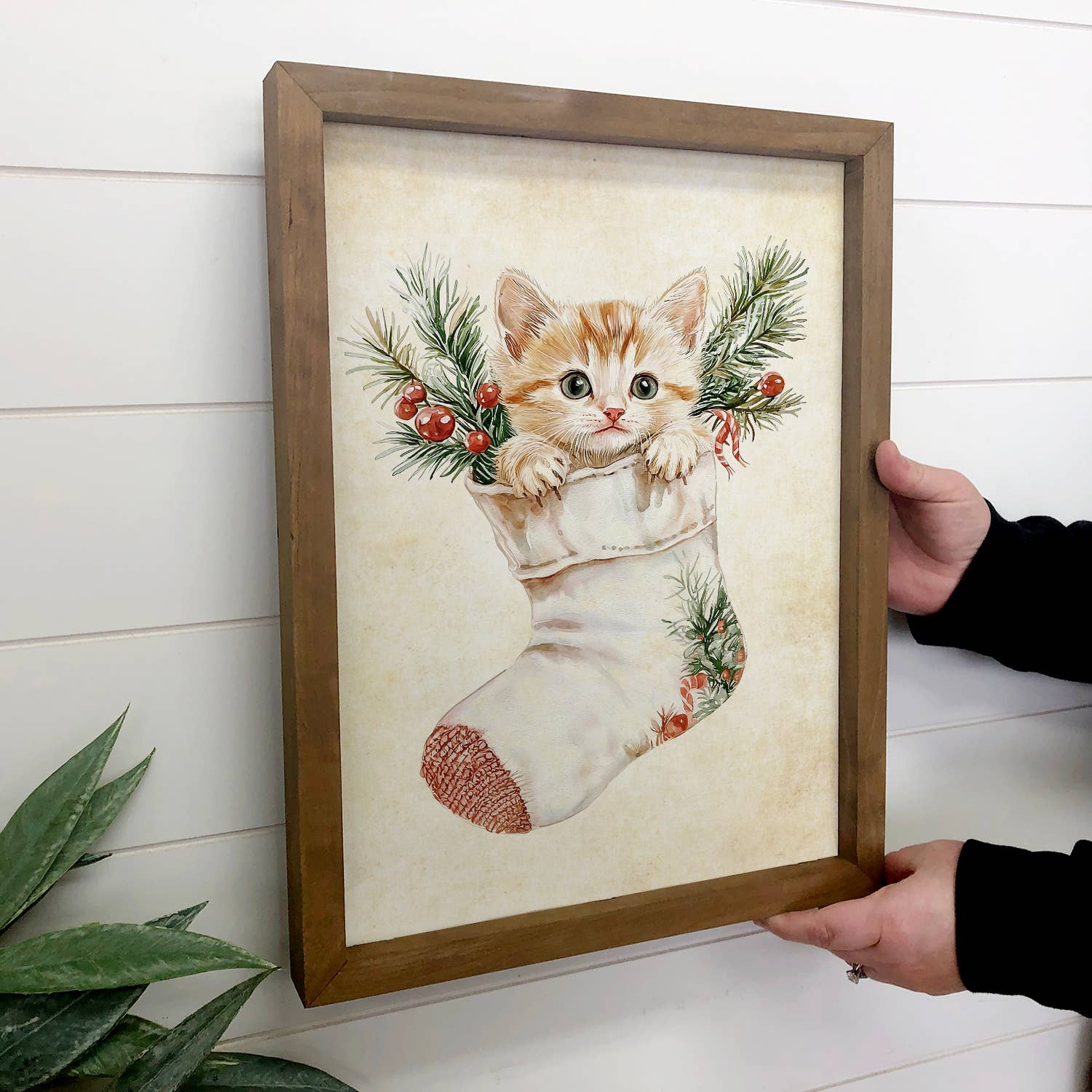 Cat in Christmas Stocking - Cute Animal Christmas Canvas Art