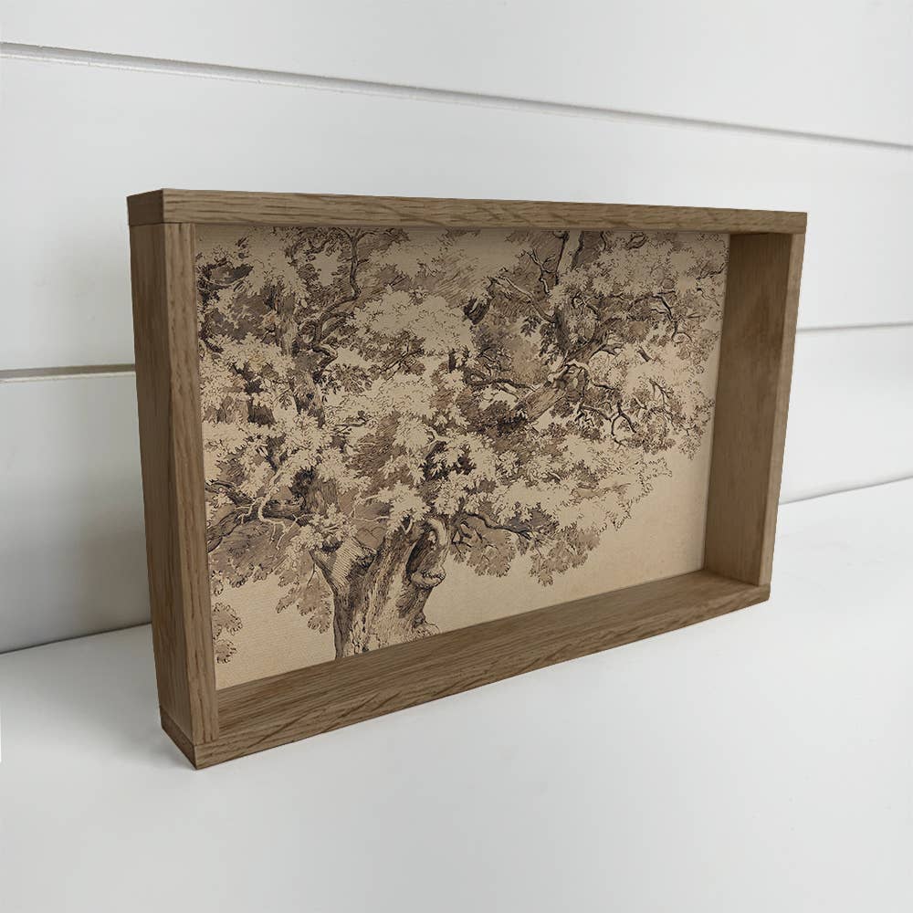 Oak Tree Sketch - Nature Sketch Canvas Art - Wood Framed Art