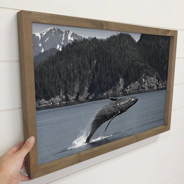 Humpback Whale Pacific Coast - Framed Animal Photography Art