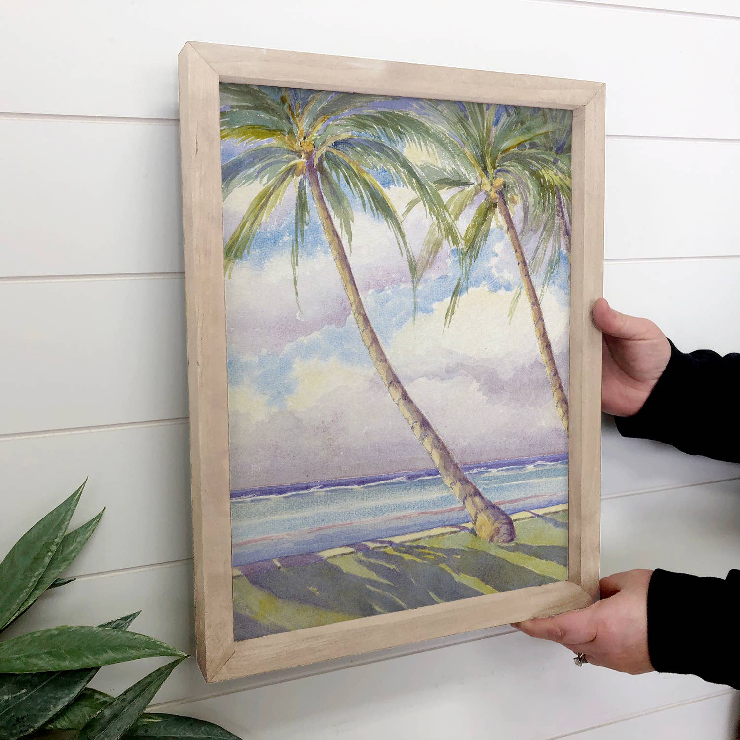 Honolulu Palms - Palm Tree Canvas Art - Wood Framed Decor