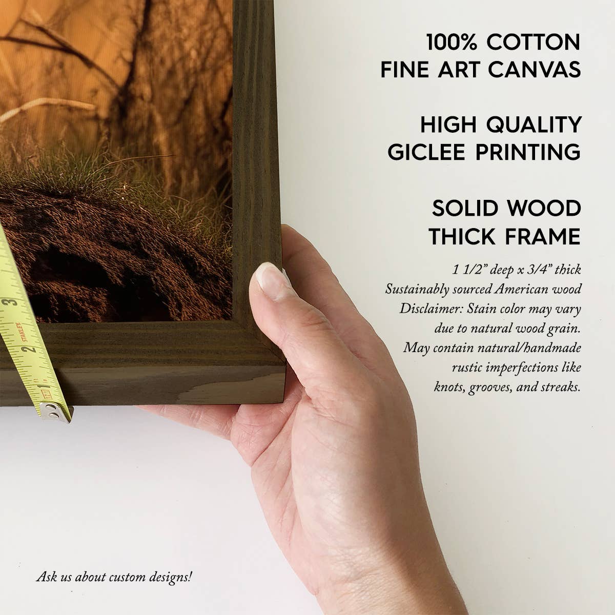 Cheetah Stance - African Cat Wildlife Photograph - Framed