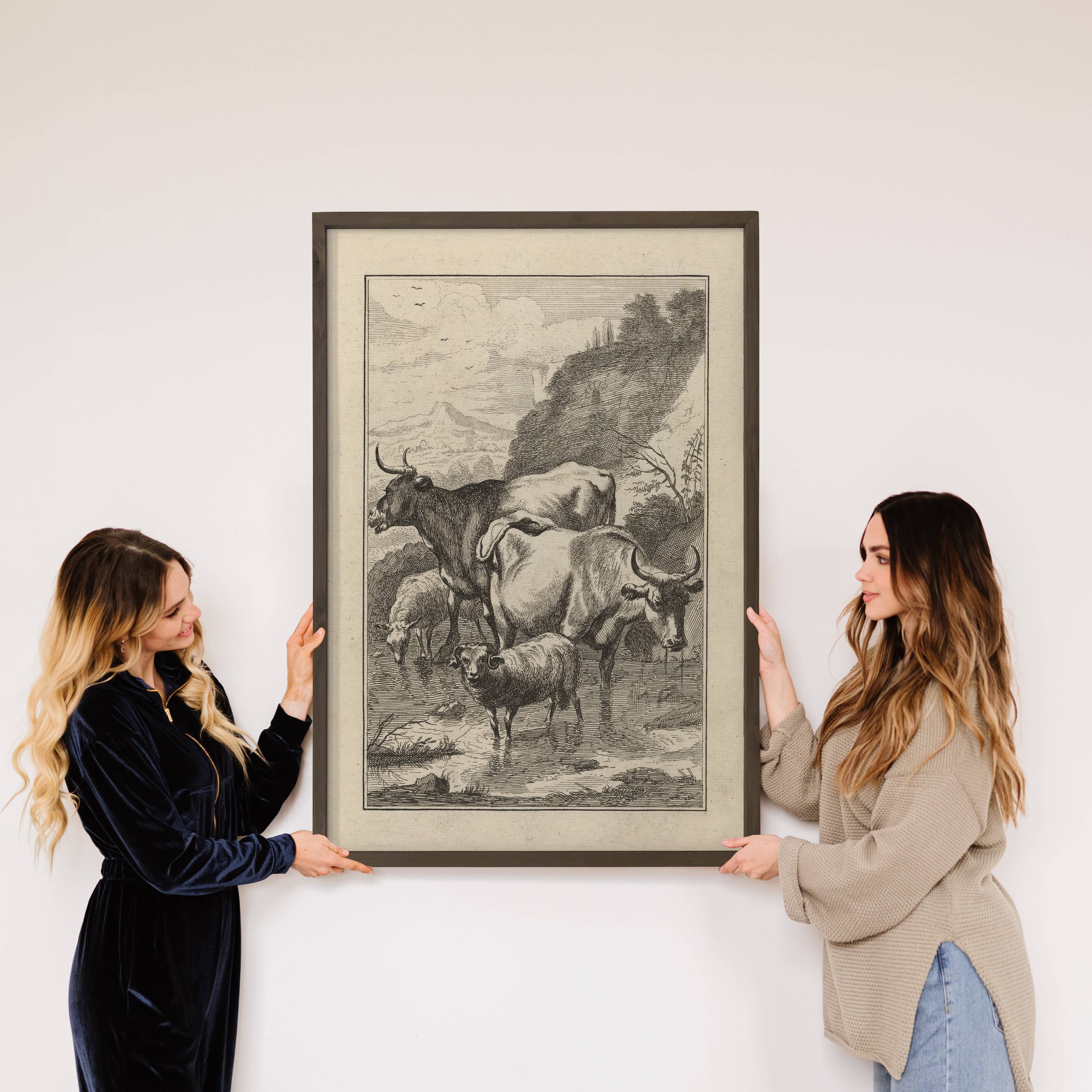 Cows and Mountain Sheep Sketch - Farmhouse Canvas Art