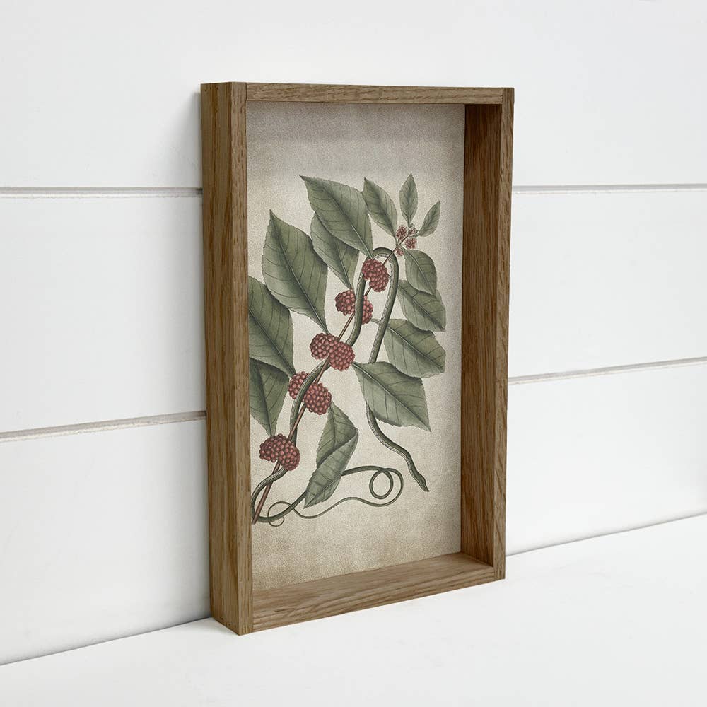 Snake and Raspberries - Snake Canvas Art - Wood Framed Art