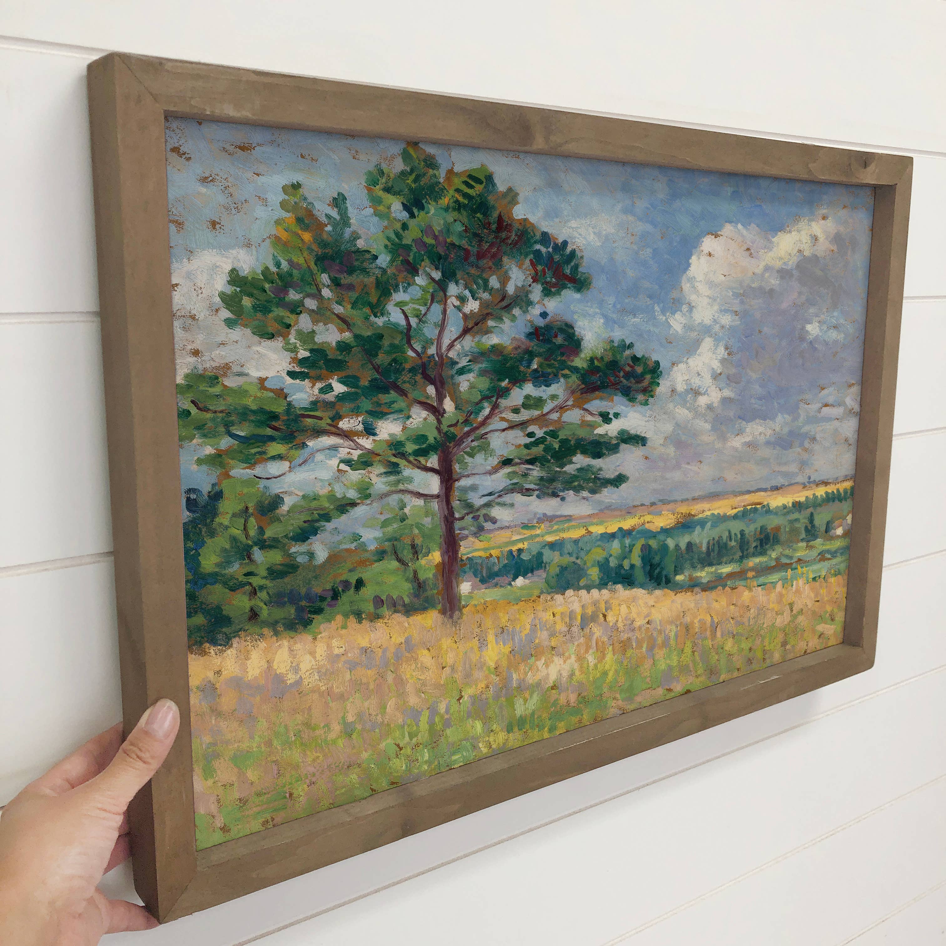 Golden Lands - Open Field Landscape Canvas Art - Framed Art