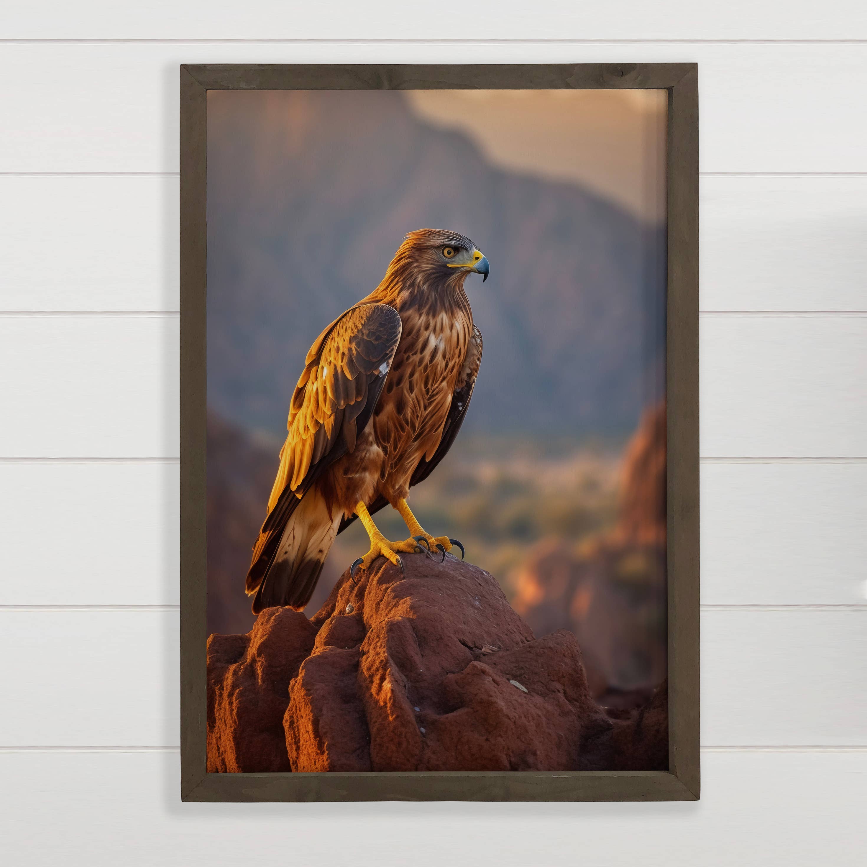 Hawk at Dusk - Wildlife Photography Canvas Art - Wood Framed
