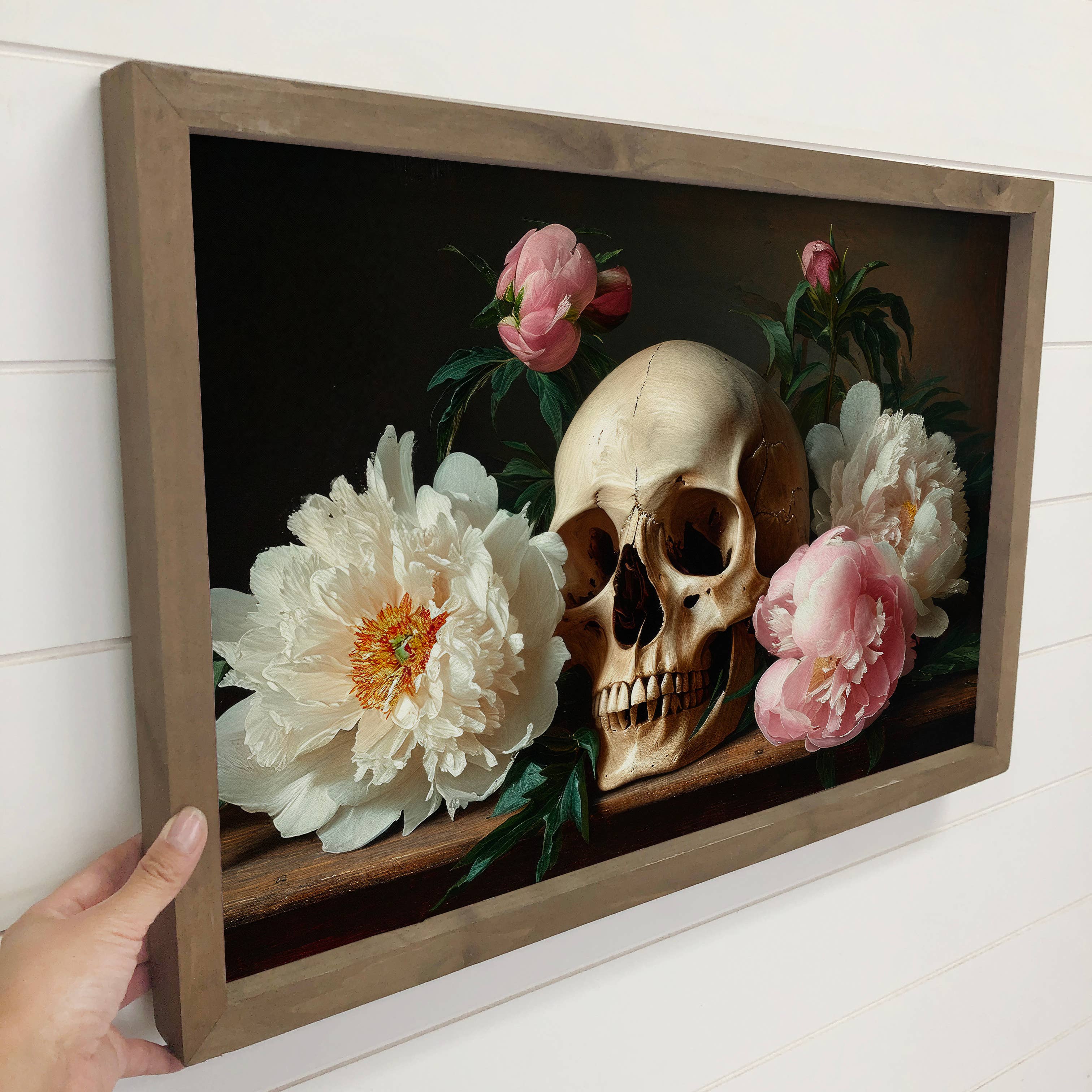 Skull with White & Pink Peonies - Skull and Flower Wall Art