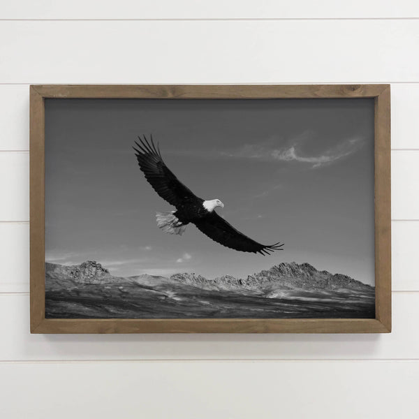 Flying Eagle - Framed Animal Photograph - Mountain Cabin Art