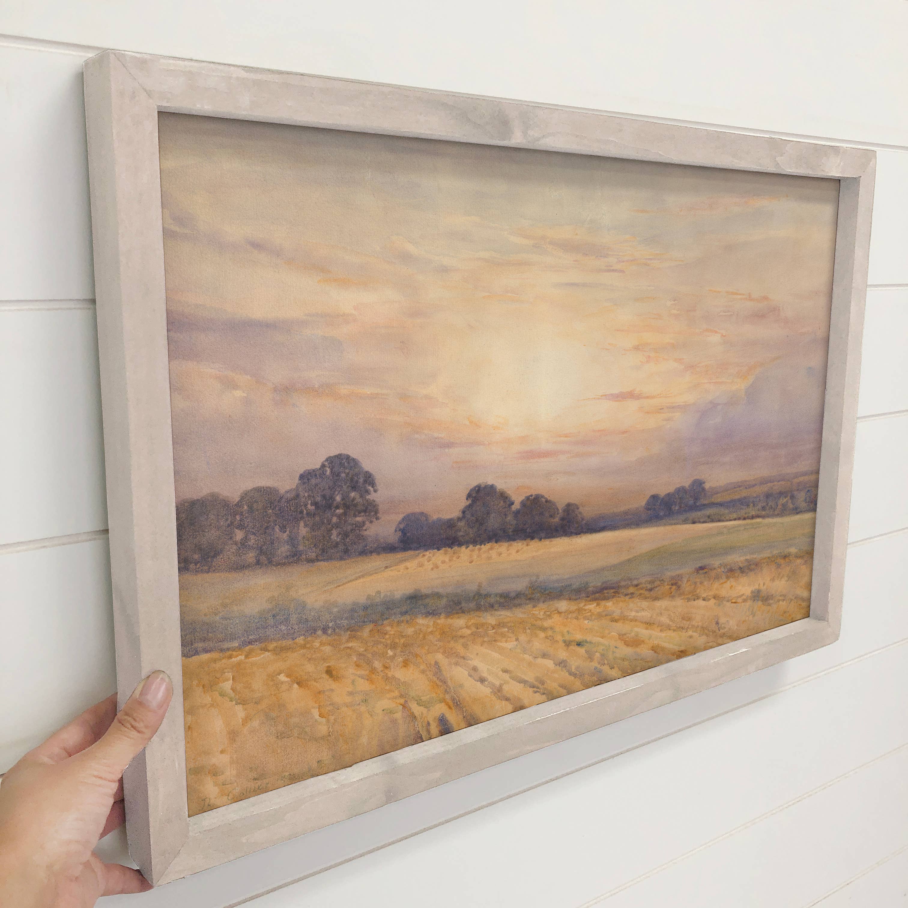Sunset on the Field - Landscape Nature Canvas Art - Framed
