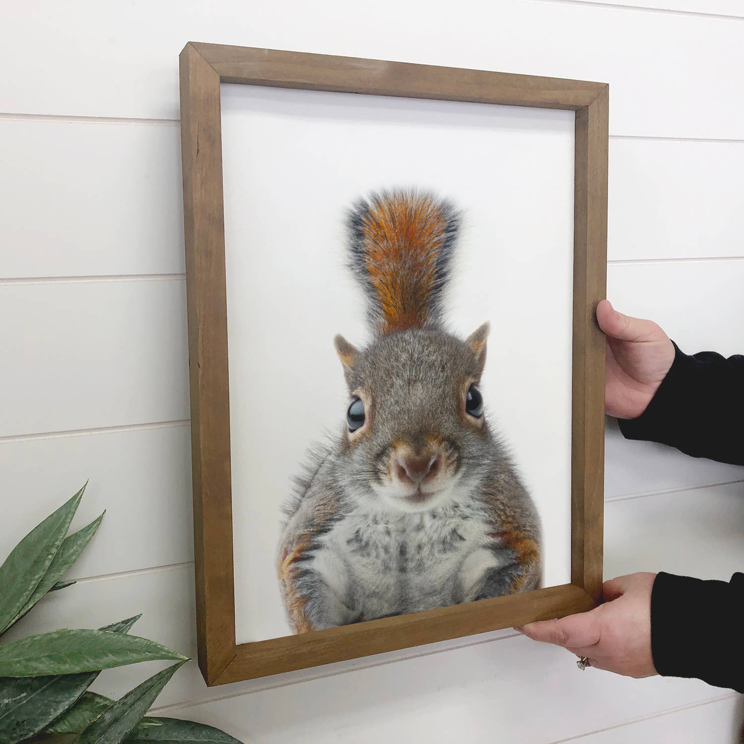 Baby Squirrel Wood Sign Cute Animal Wall Art