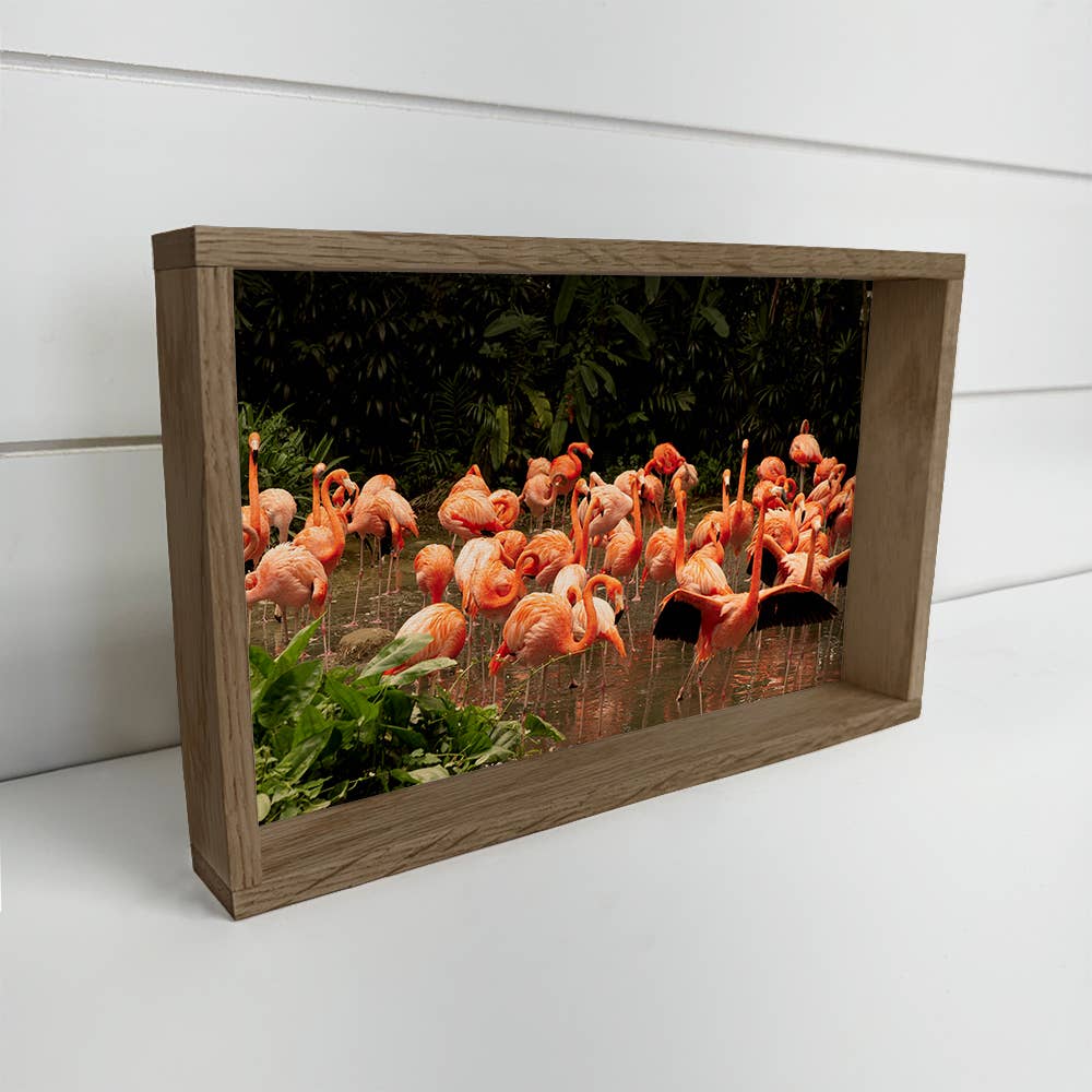 Flamingo Group - Bird Canvas Art - Wood Framed Wall Art