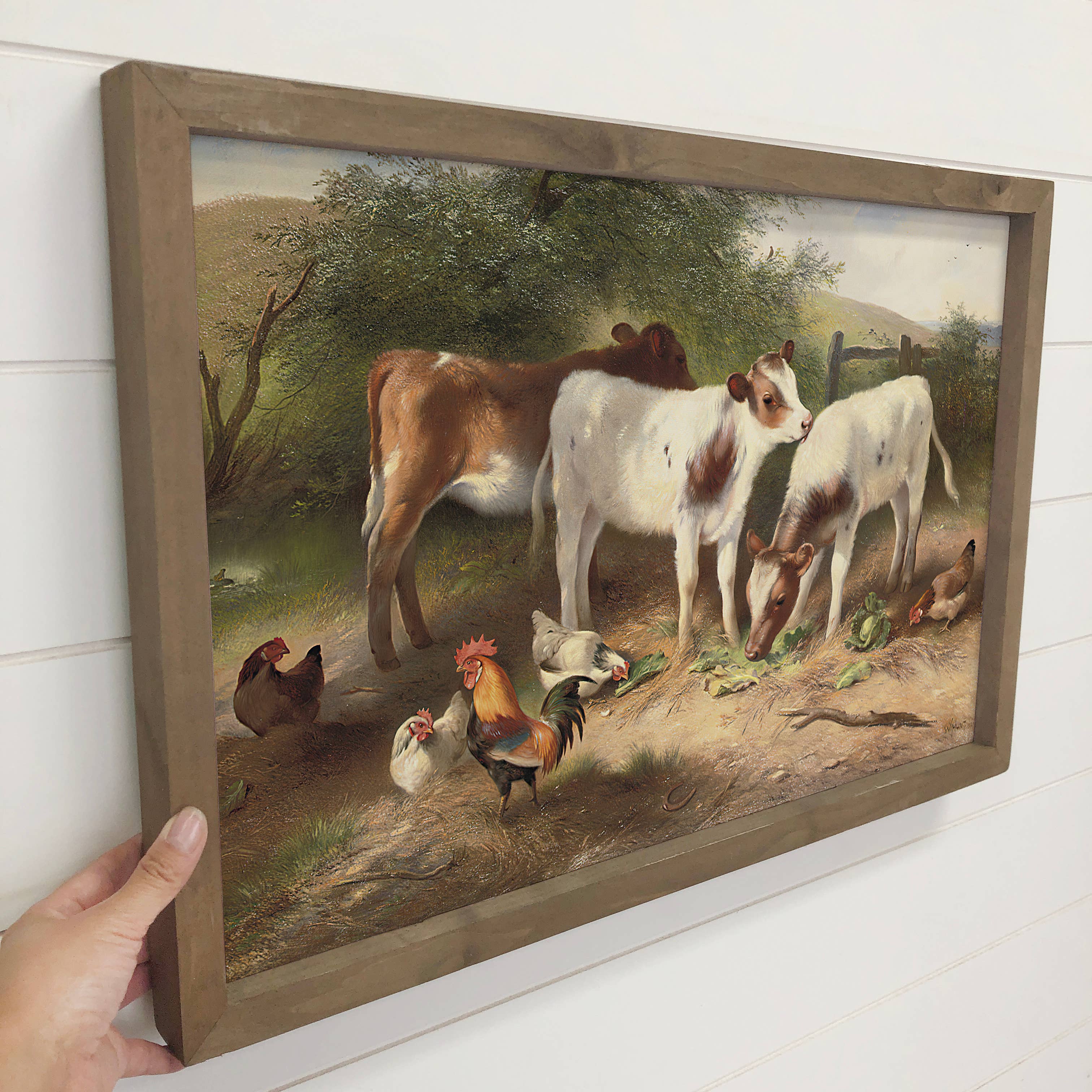 Farm Calves and Chickens - Farmhouse Canvas Art - Wood Frame