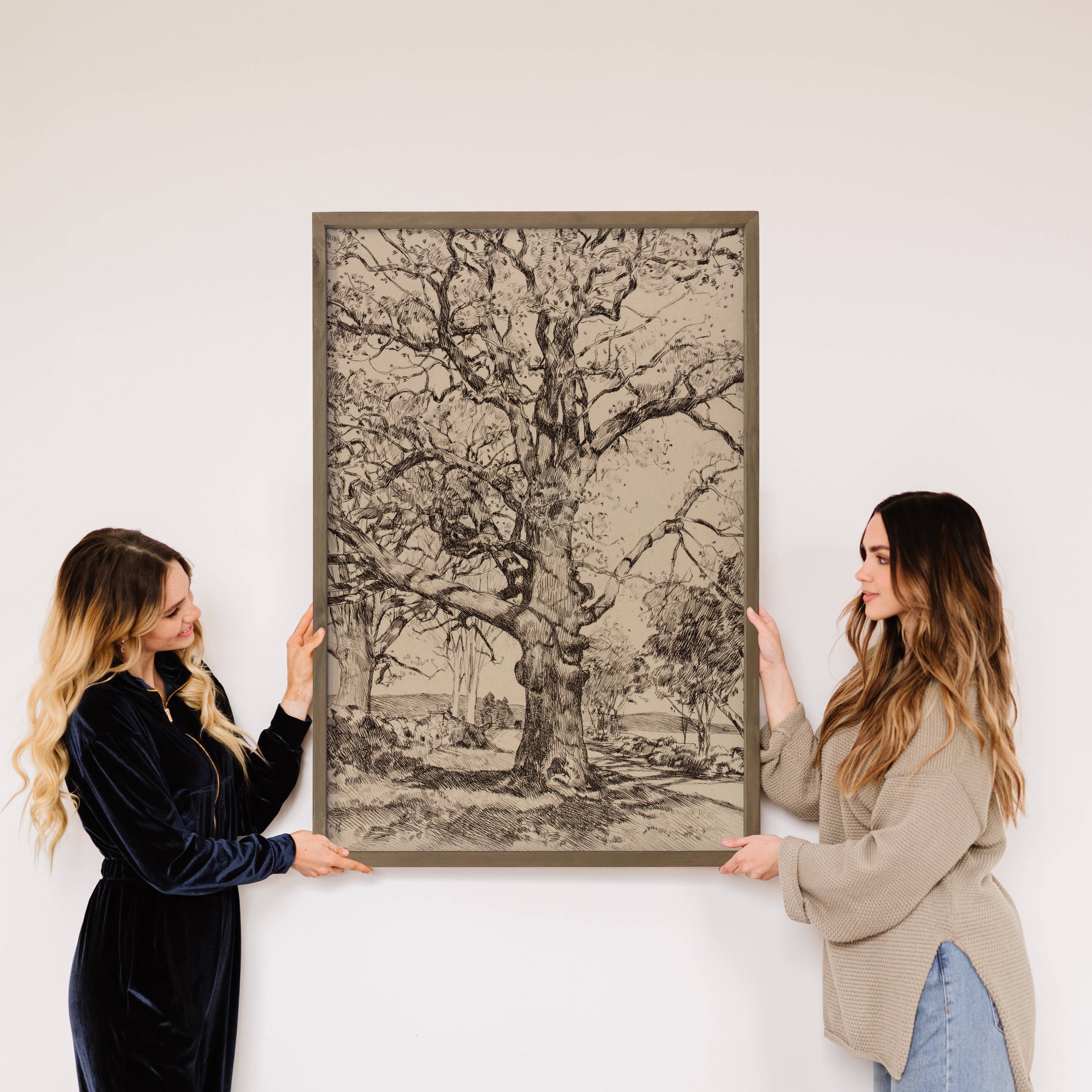 Twisted Oak Tree - Vintage Tree Sketch Canvas Art - Framed