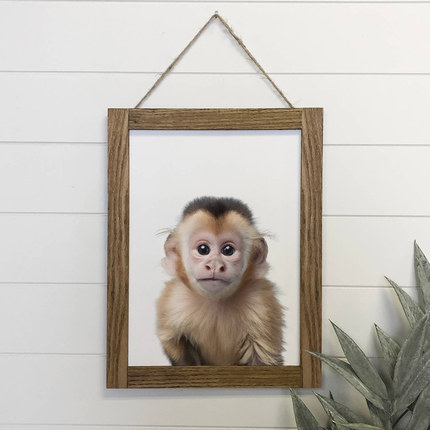 Cute Baby Monkey Framed Wall Art for Nursery or Kid's Room