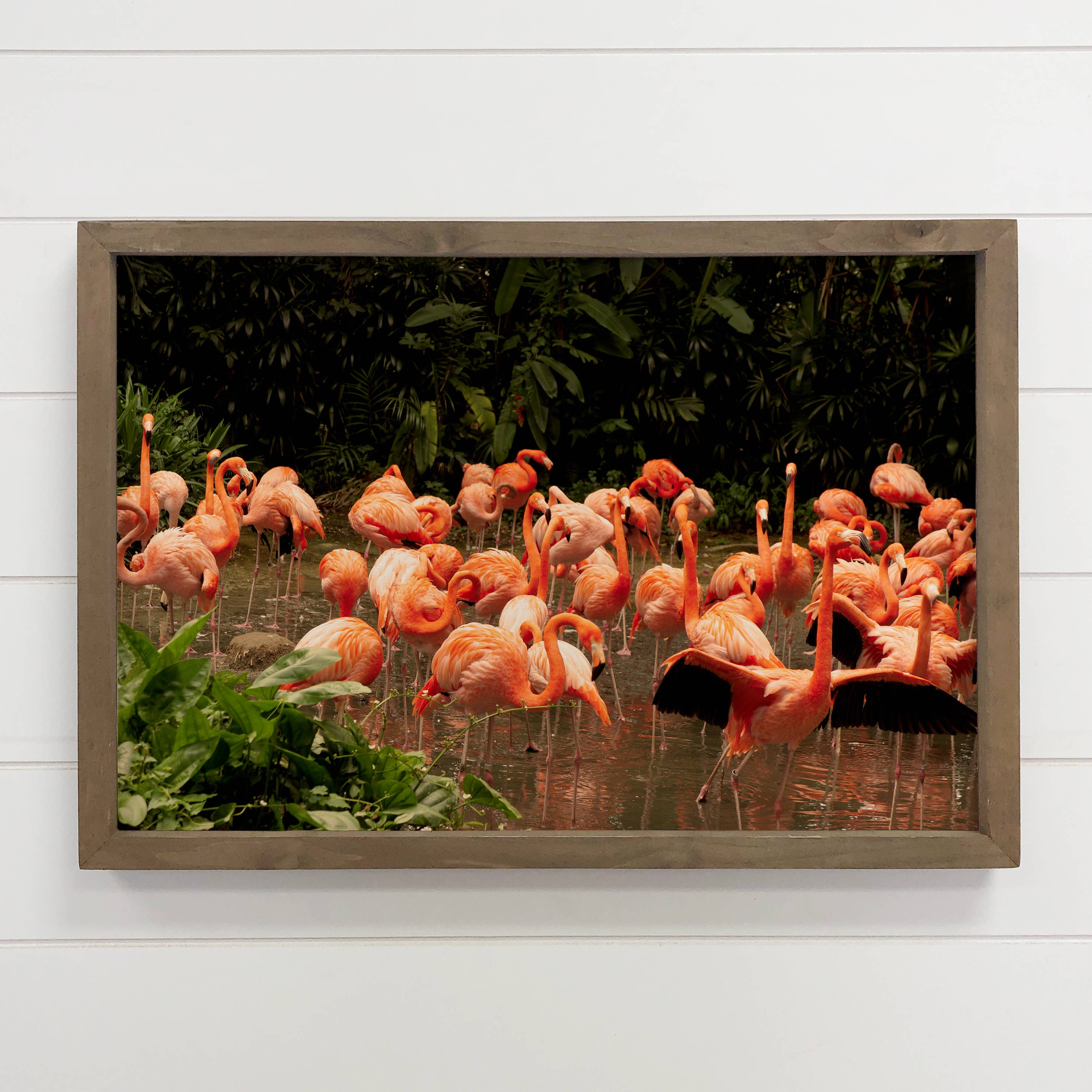 Flamingo Group - Bird Canvas Art - Wood Framed Wall Art