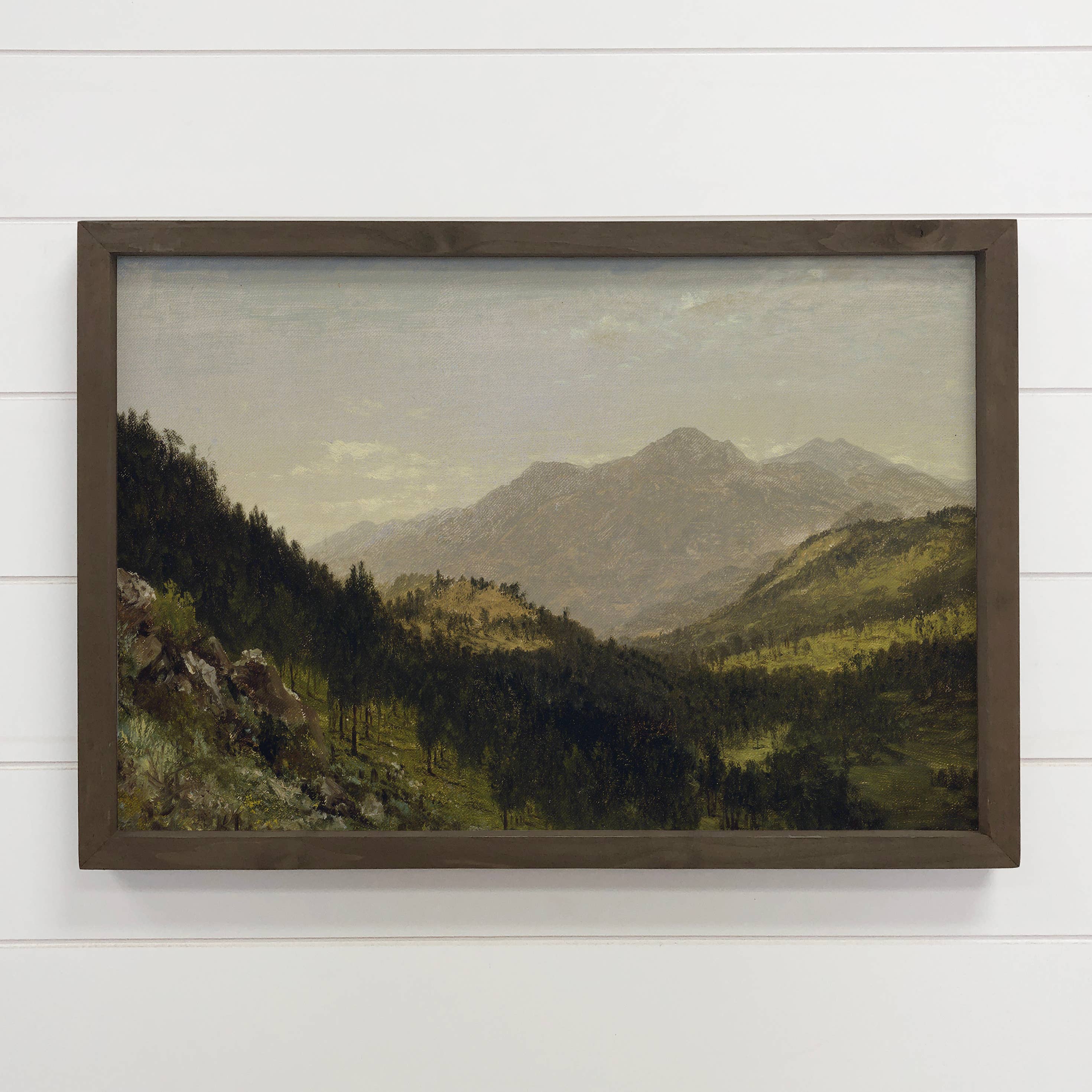 Colorado Wild -Mountain Landscape Canvas Art - Wood Framed