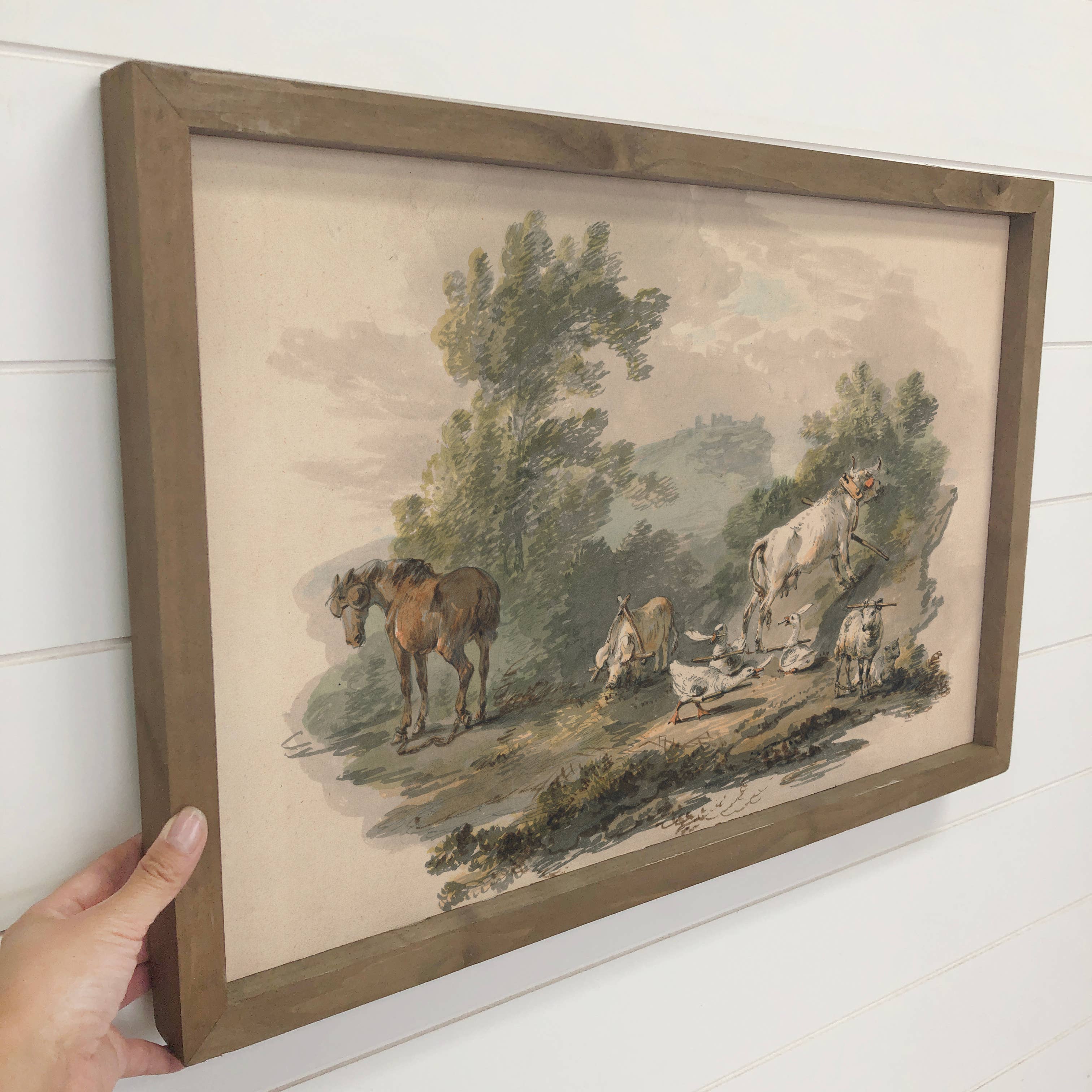 Farmyard Animals - Farmhouse Canvas Art - Wood Framed Art