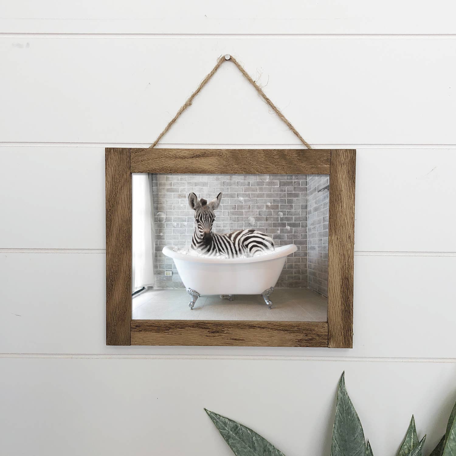 Zebra Bathtub Cute Bathroom Canvas Wood Sign Framed Art
