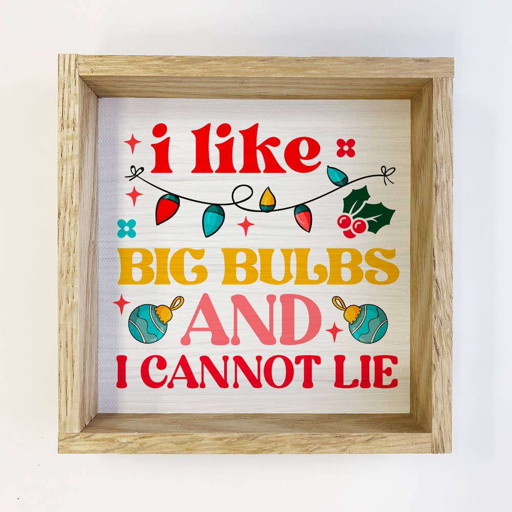 I Like Big Bulbs and I Cannot Lie - Christmas Canvas Sign